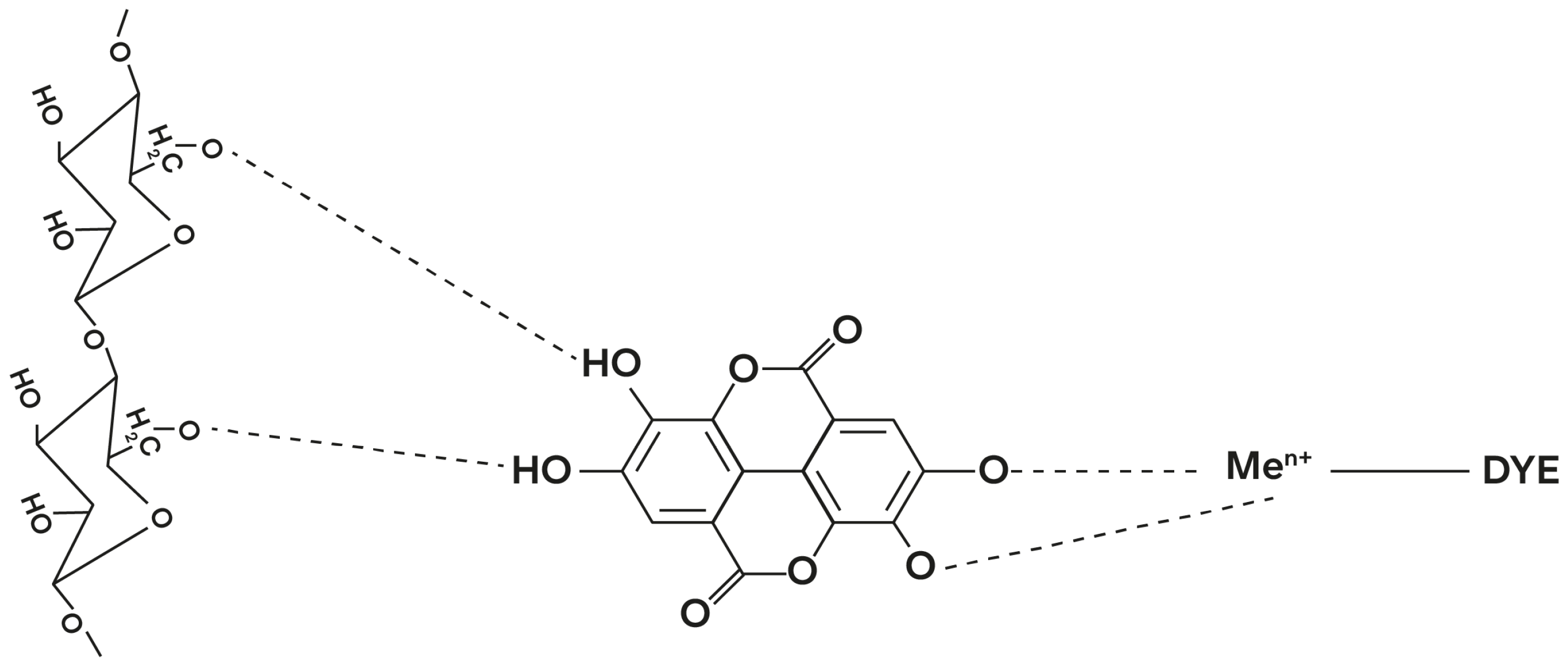 Molecules 28 05954 g003