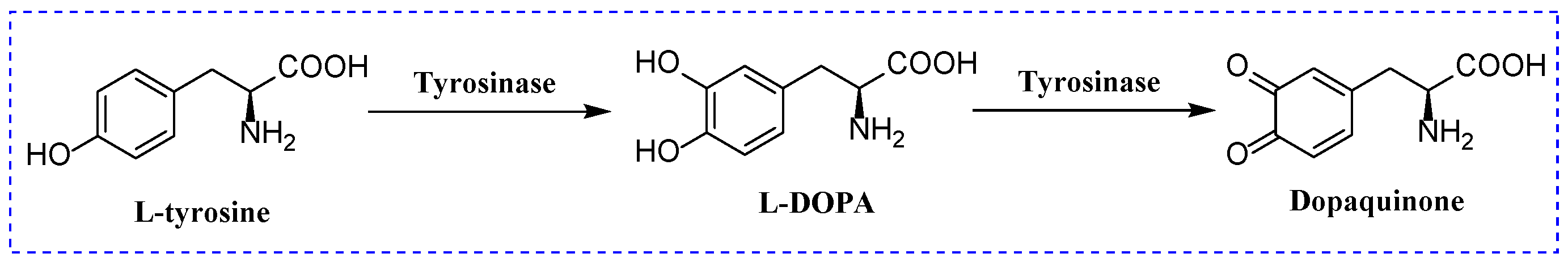 Molecules 28 05969 g001