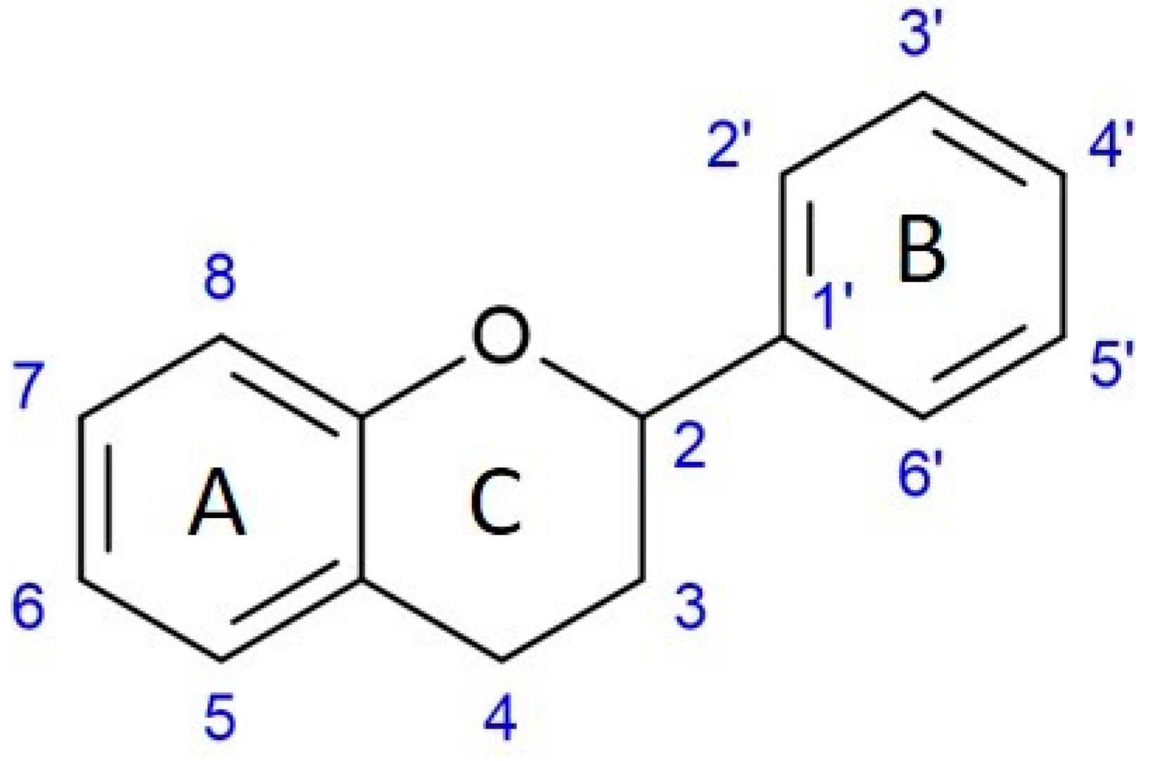 Molecules 28 05976 g002