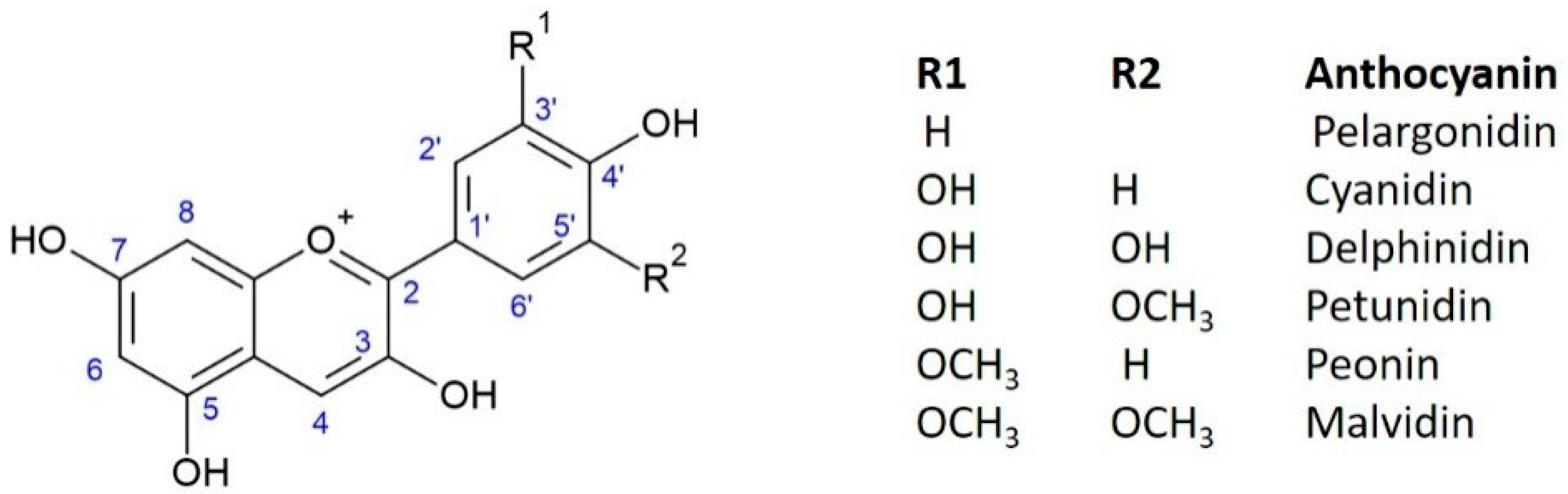 Molecules 28 05976 g003