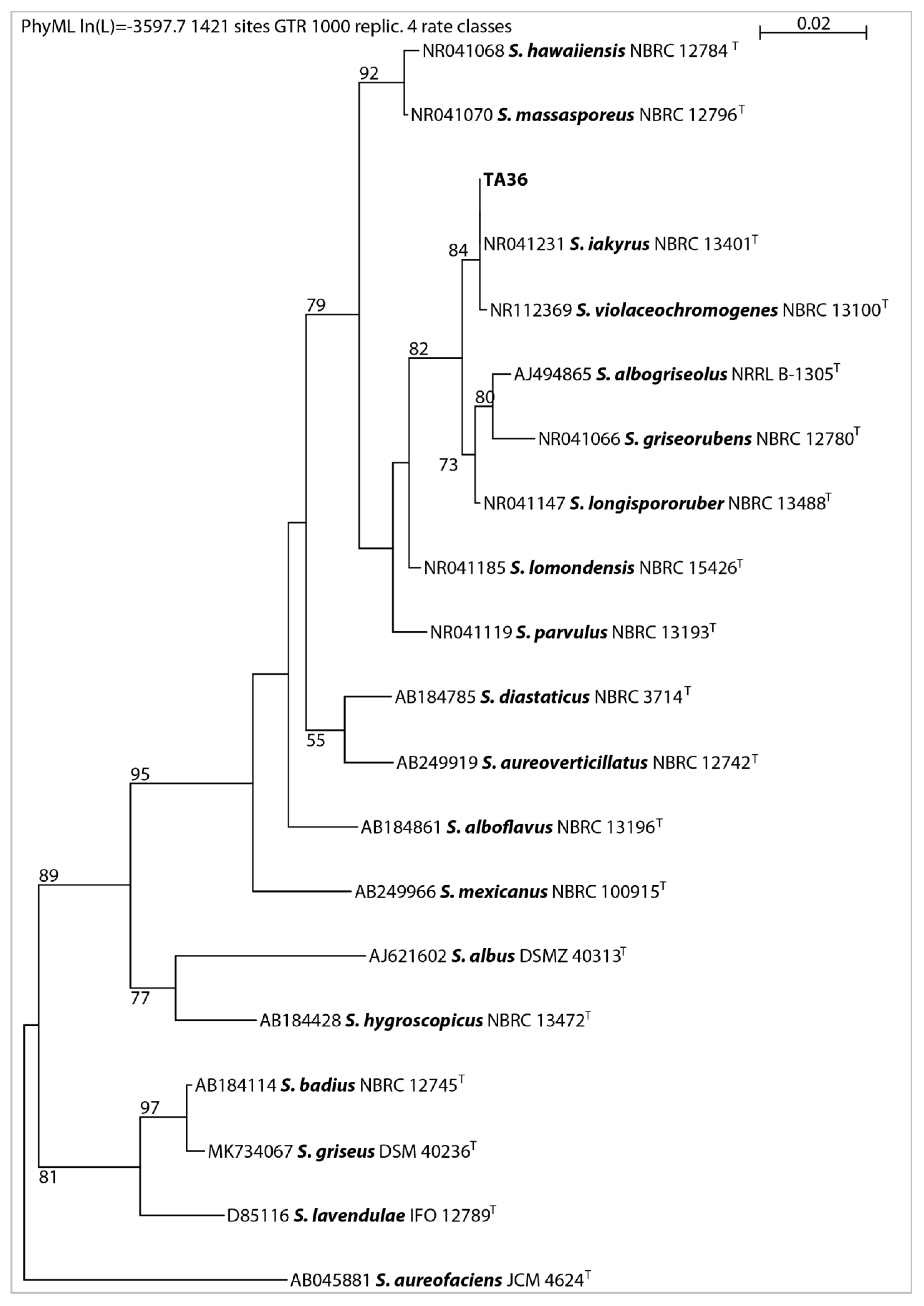 Molecules 28 05977 g002 Molecules 28 05977 g002