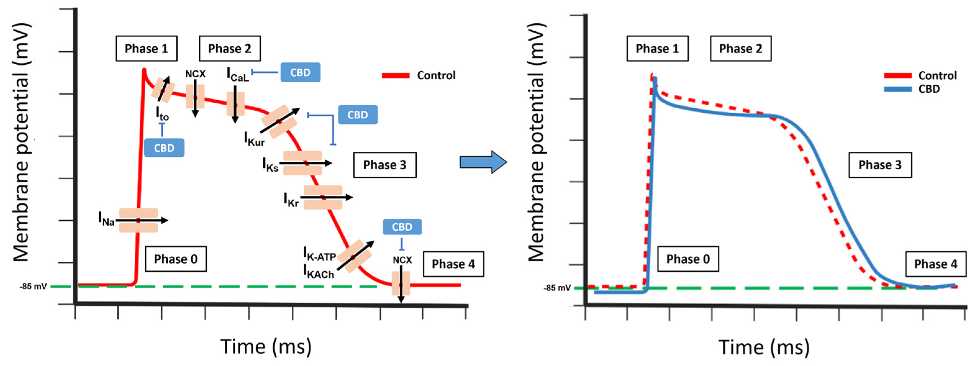 Molecules 28 05980 g005 Molecules 28 05980 g005