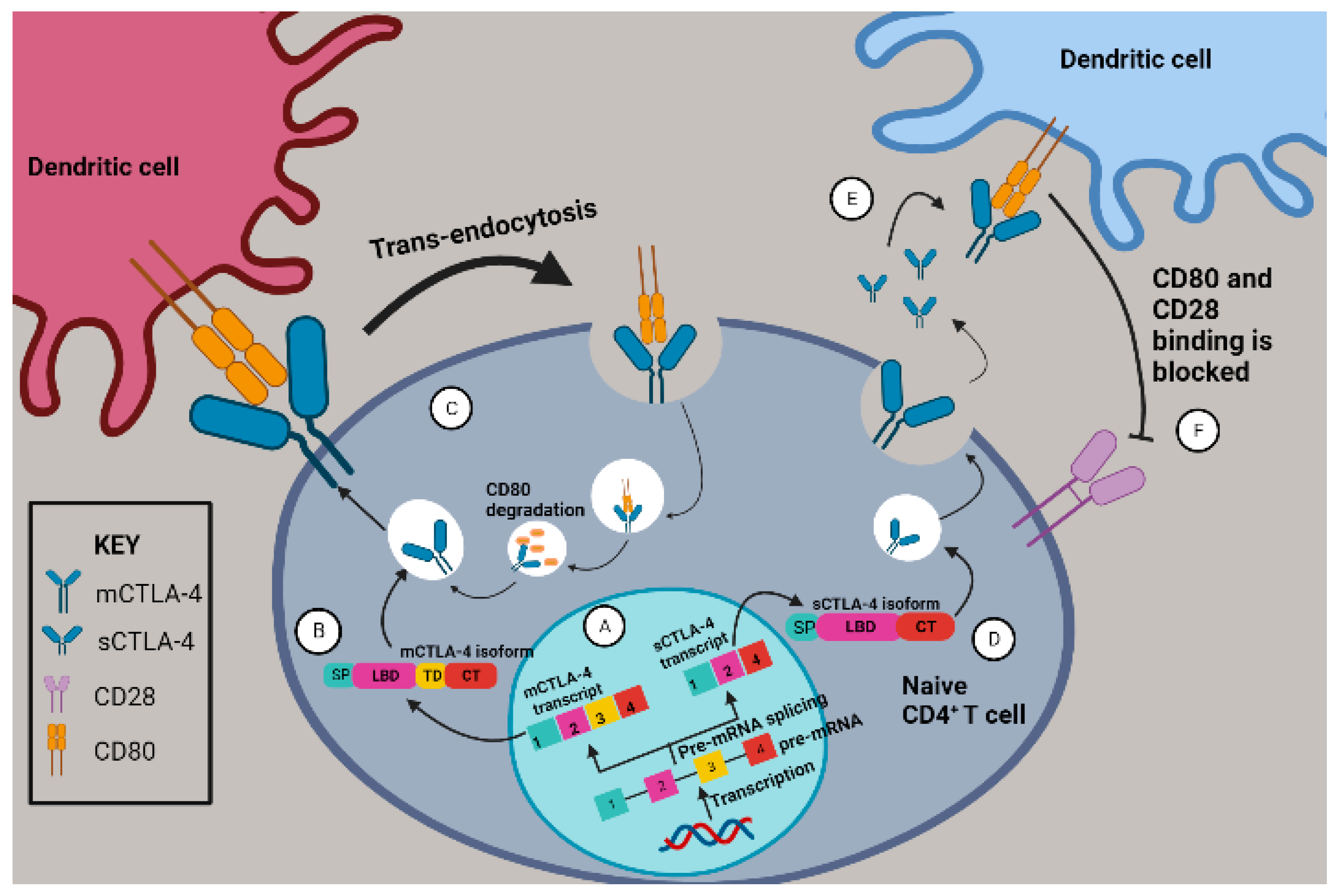 Molecules 28 05984 g002