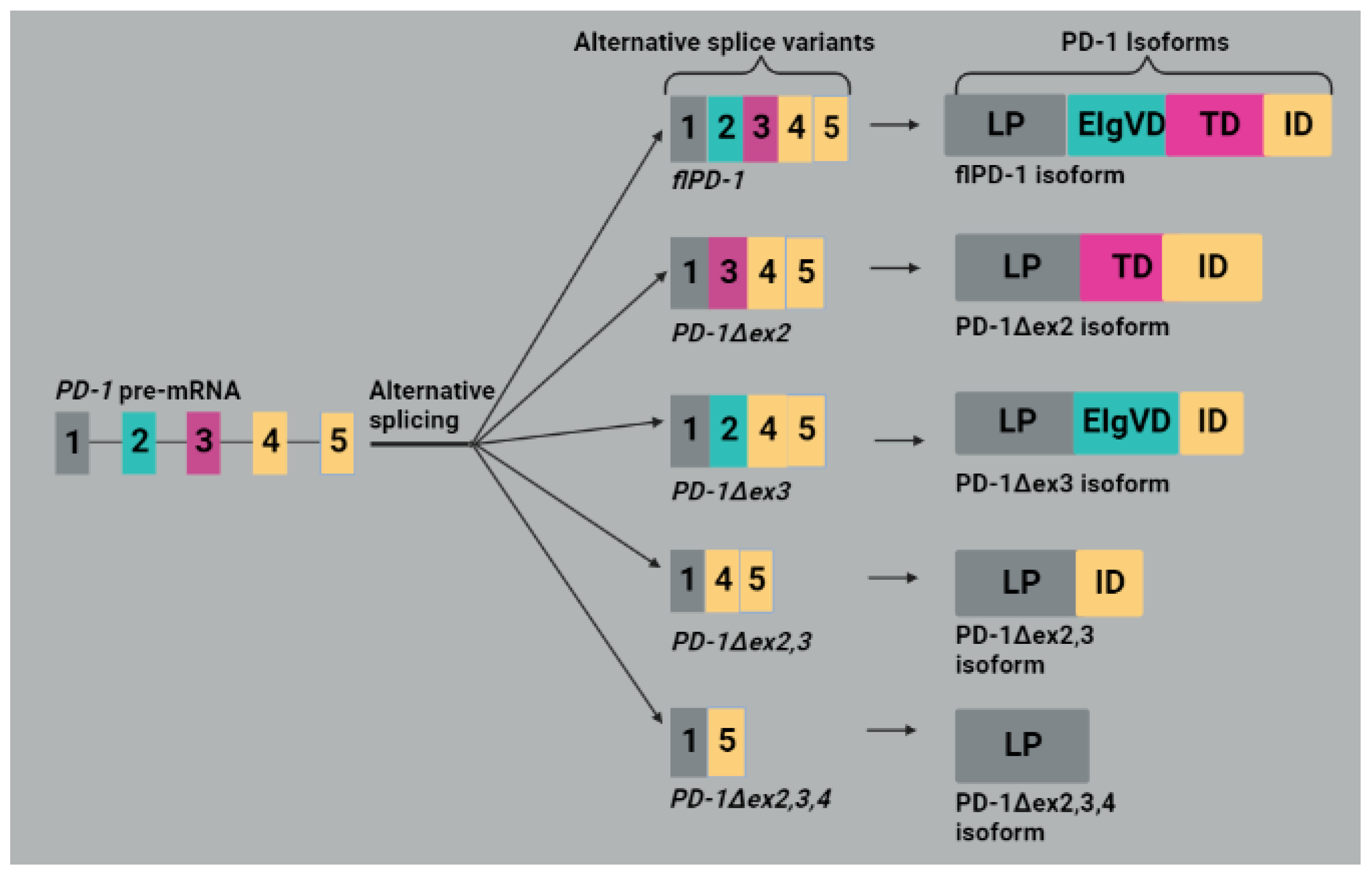 Molecules 28 05984 g003