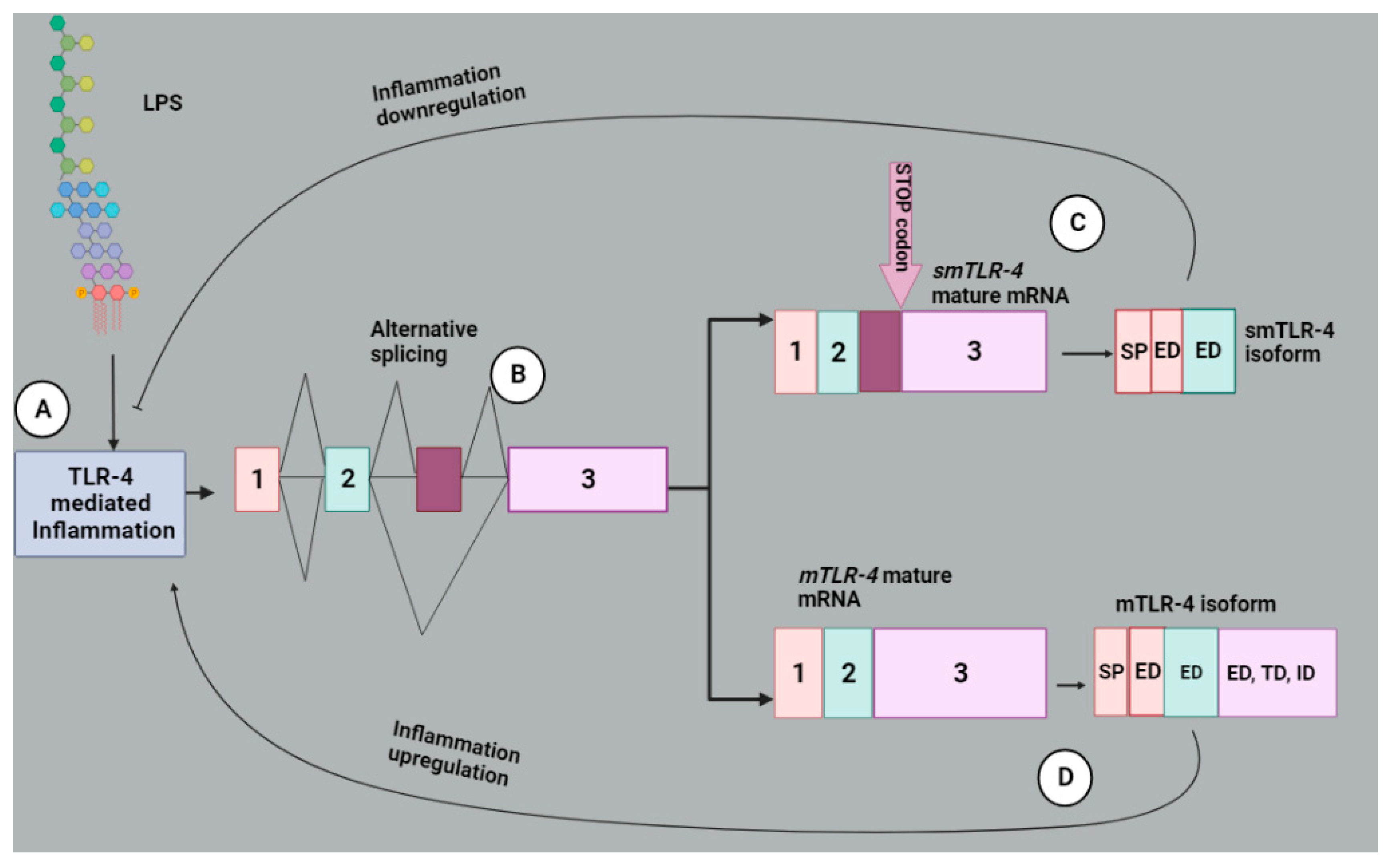 Molecules 28 05984 g007