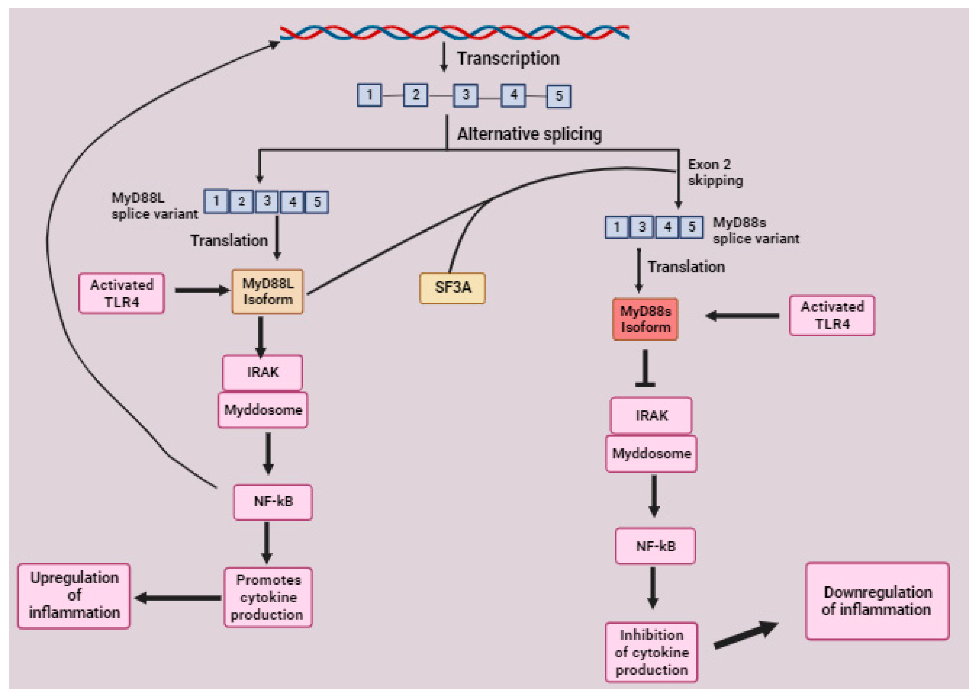 Molecules 28 05984 g008