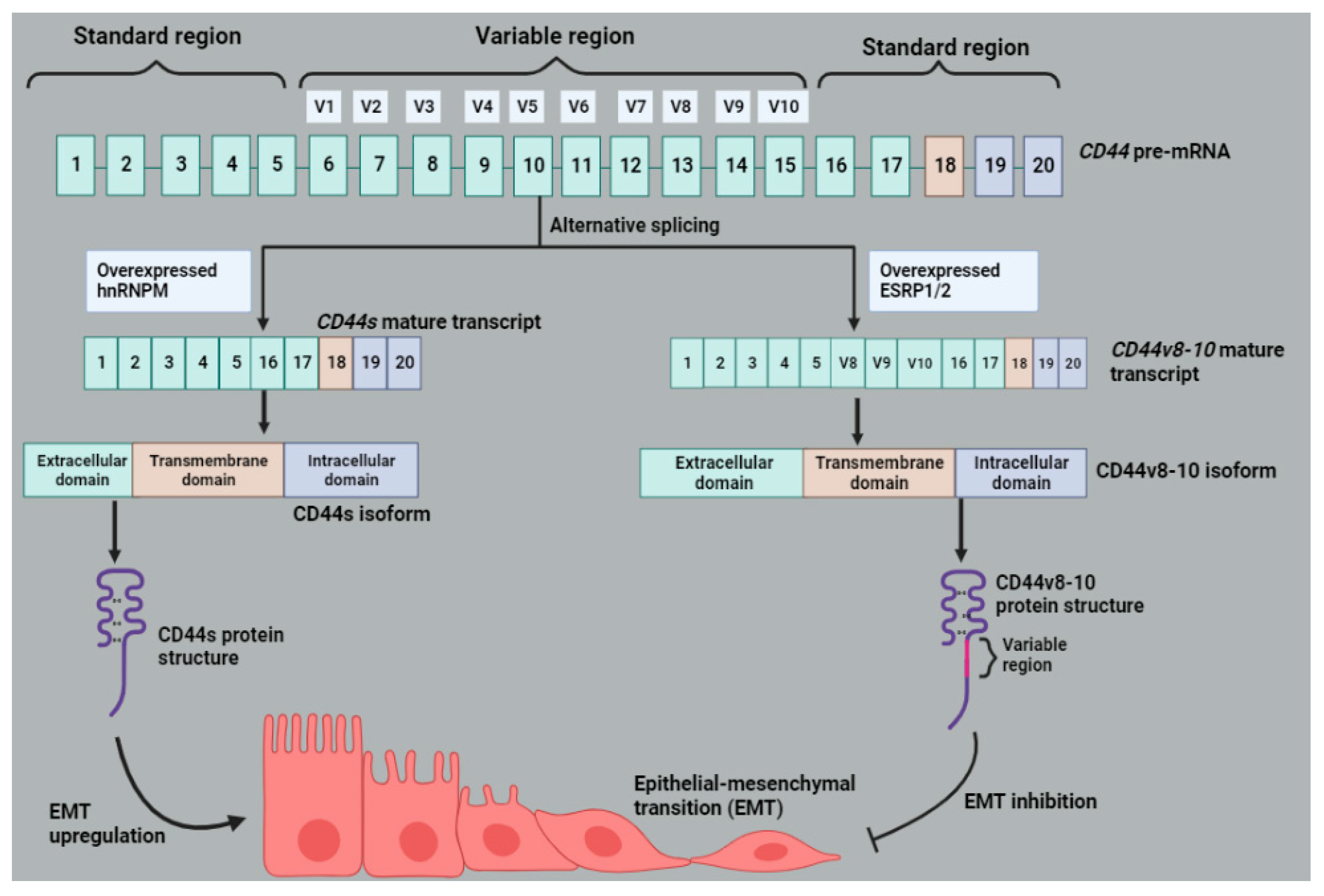 Molecules 28 05984 g009