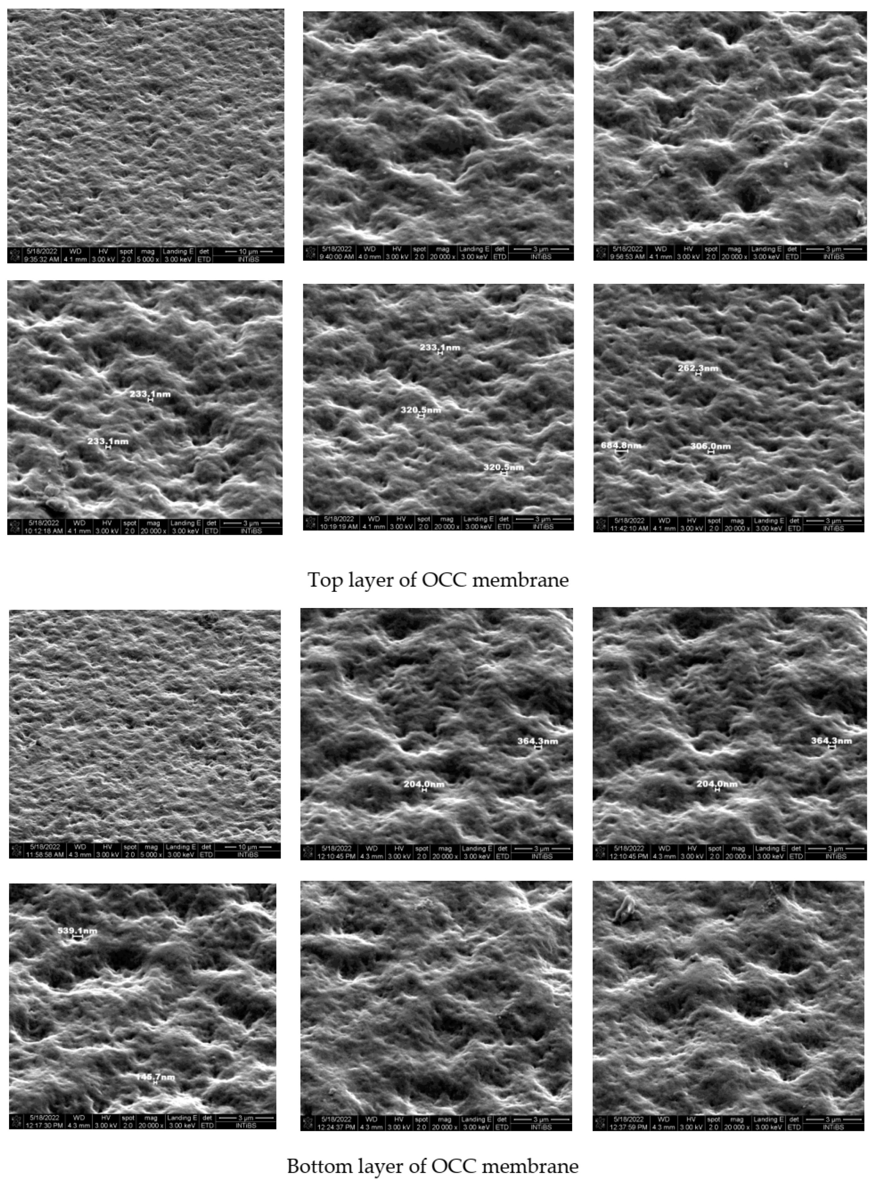Molecules 28 05987 g007 Molecules 28 05987 g007