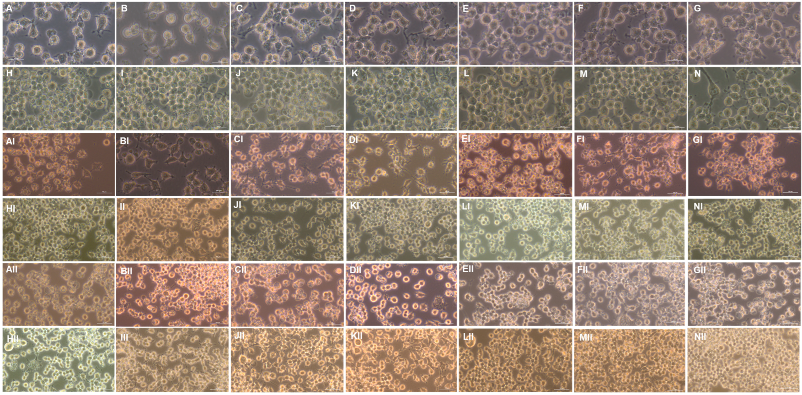 Molecules 28 05998 g008