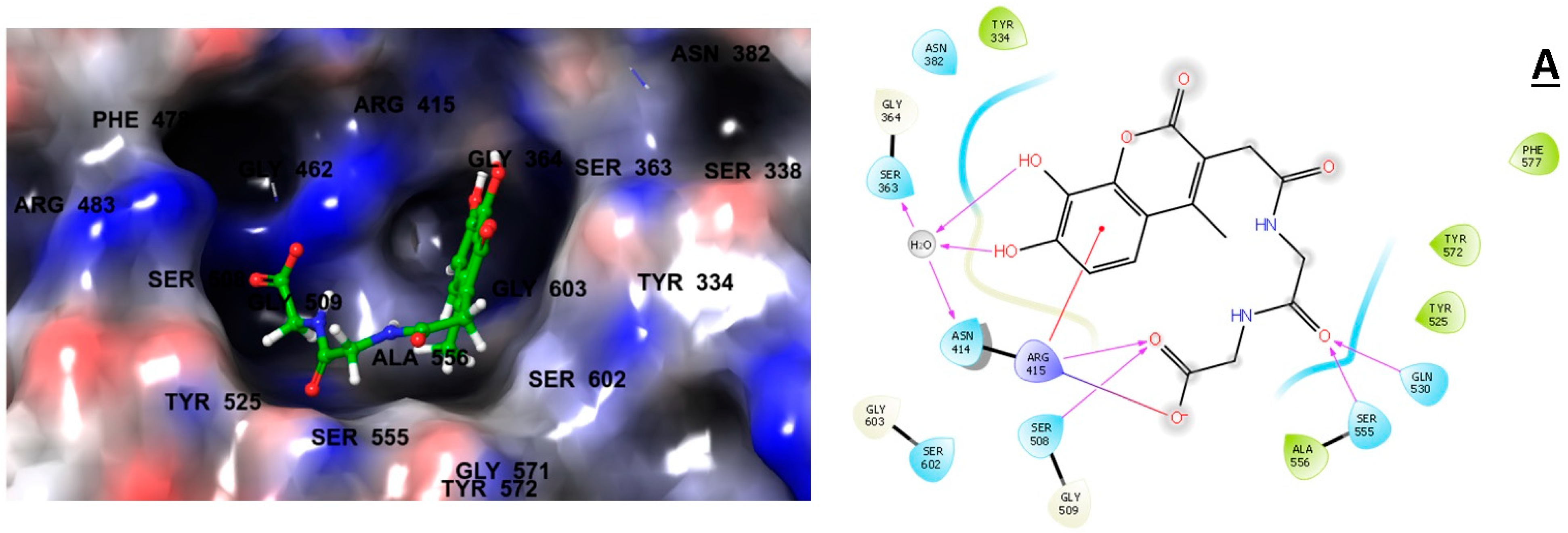 Molecules 28 06003 g002a Molecules 28 06003 g002a