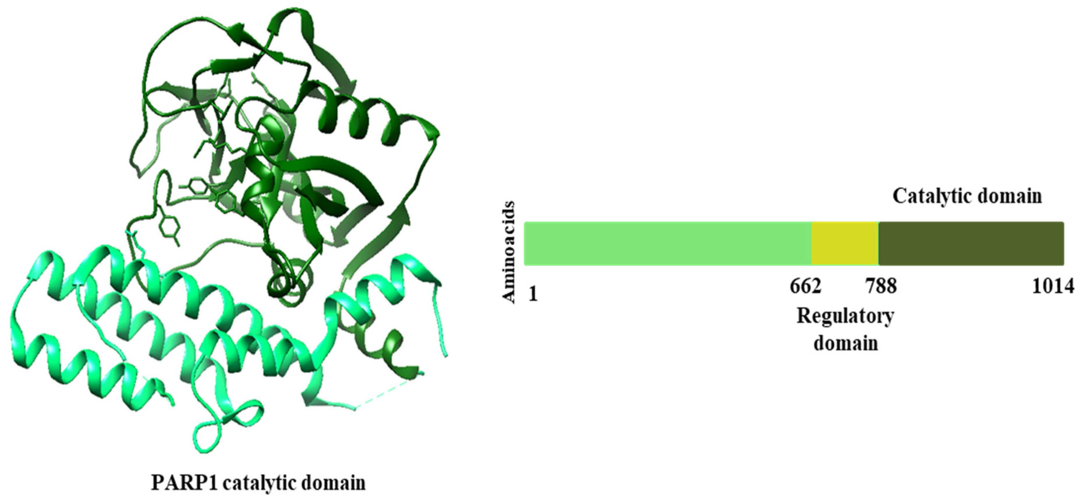 Molecules 28 06011 g003b