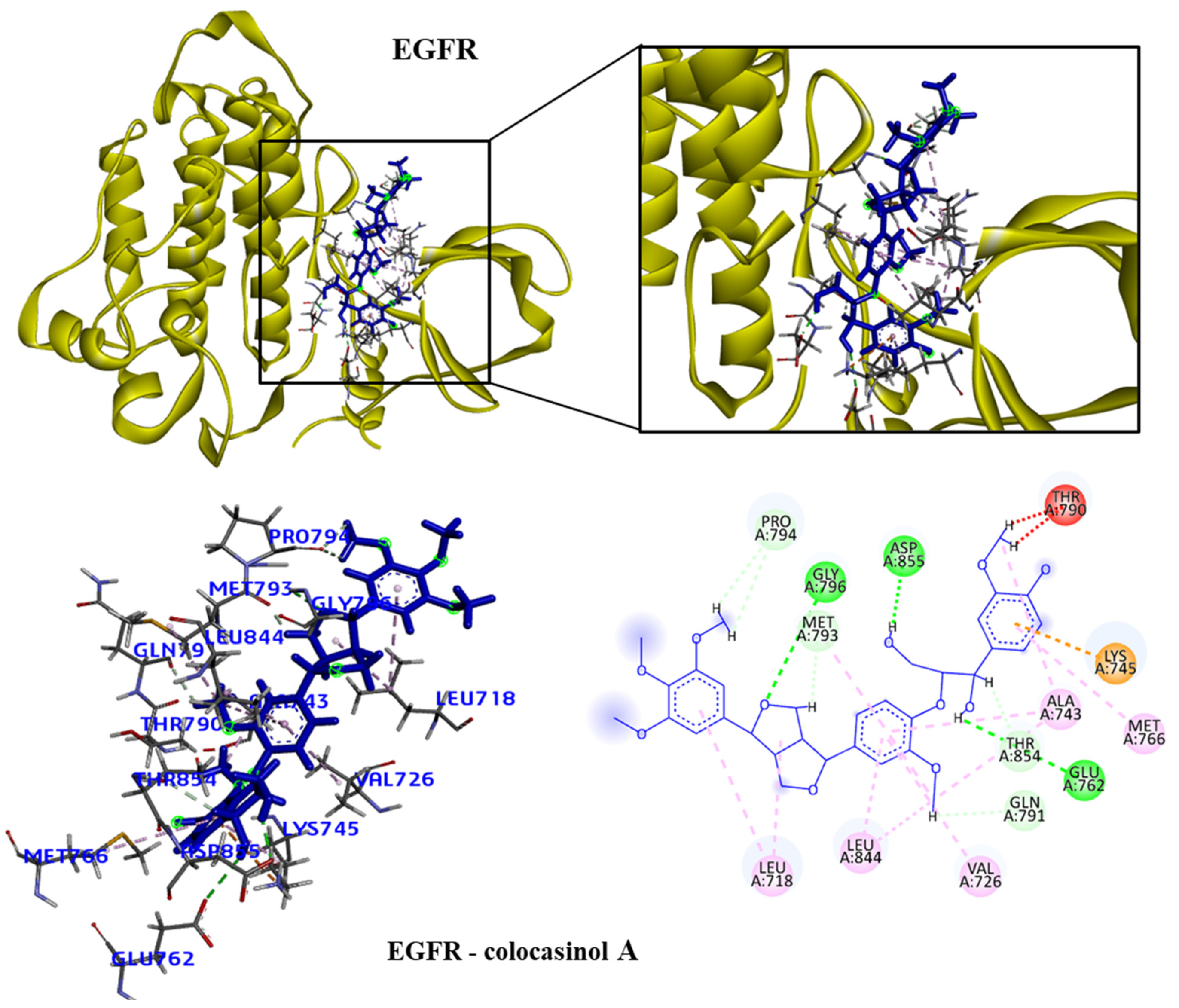 Molecules 28 06011 g004
