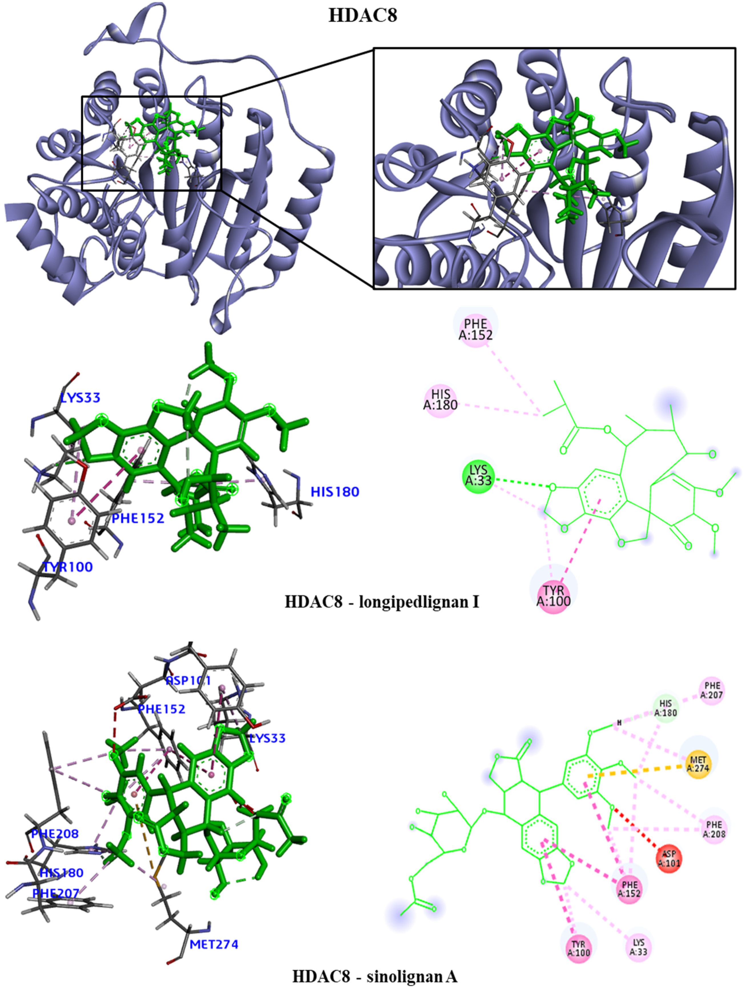 Molecules 28 06011 g005