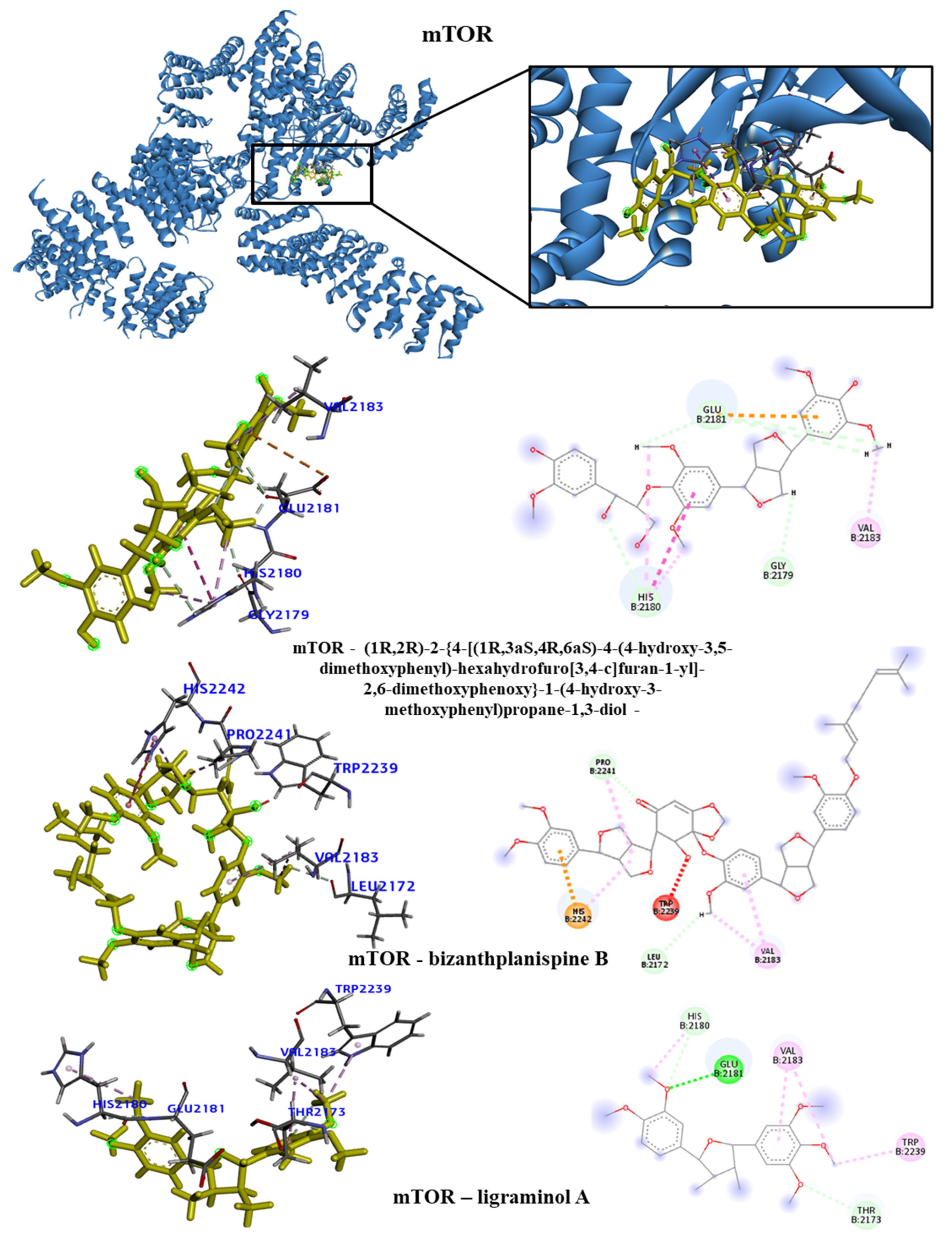 Molecules 28 06011 g006