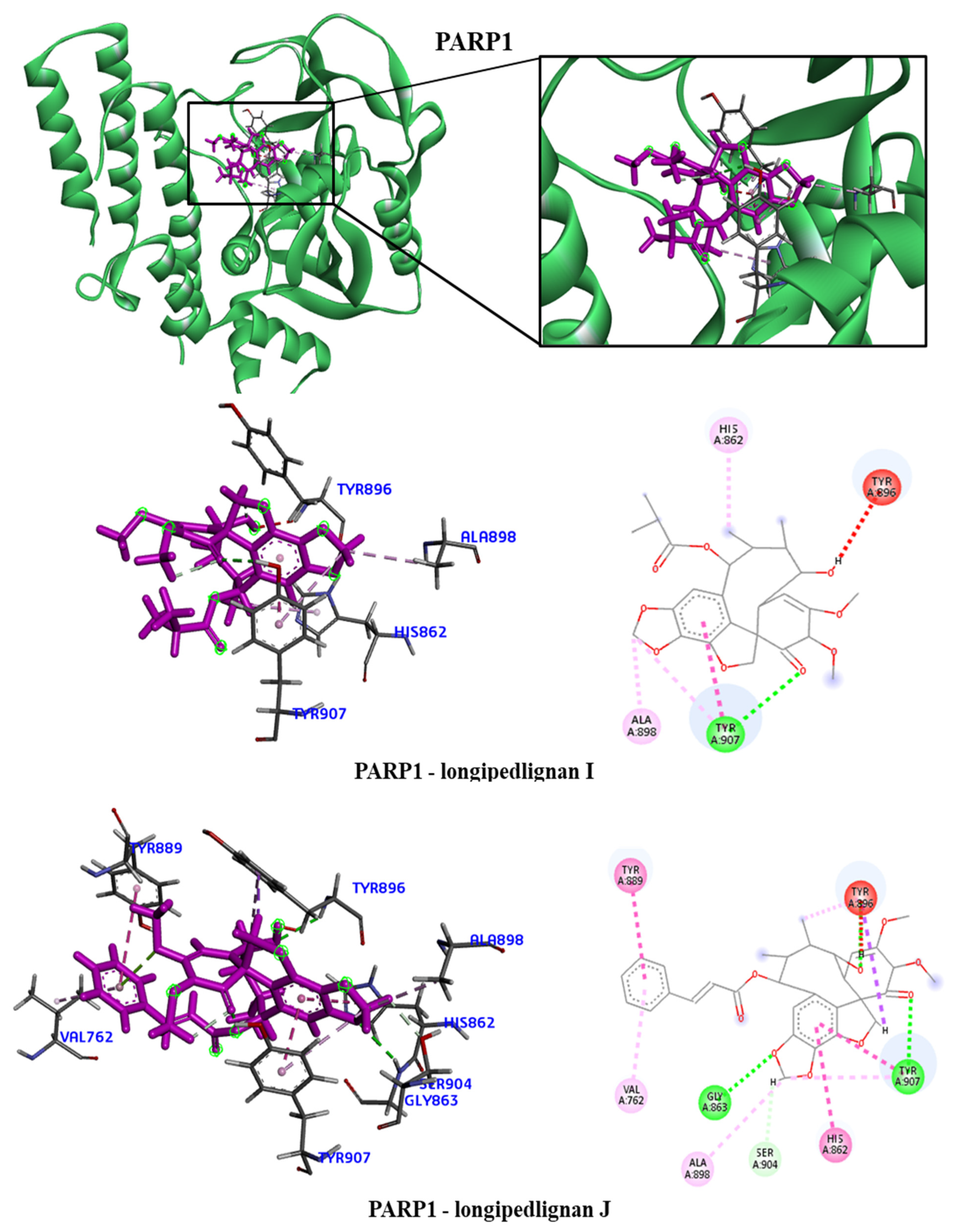 Molecules 28 06011 g007