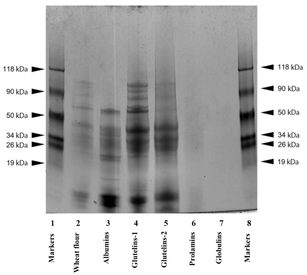 Molecules 28 06012 g001 Molecules 28 06012 g001