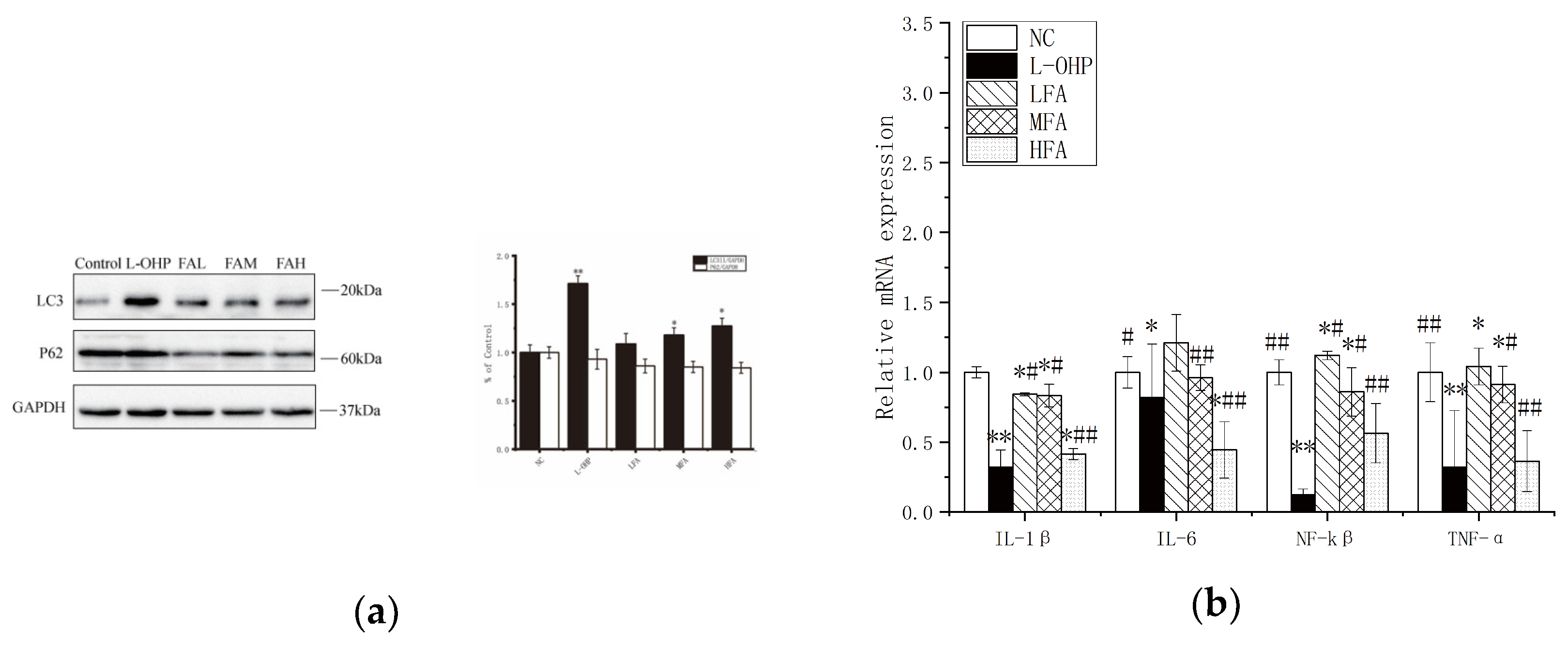 Molecules 28 06014 g004