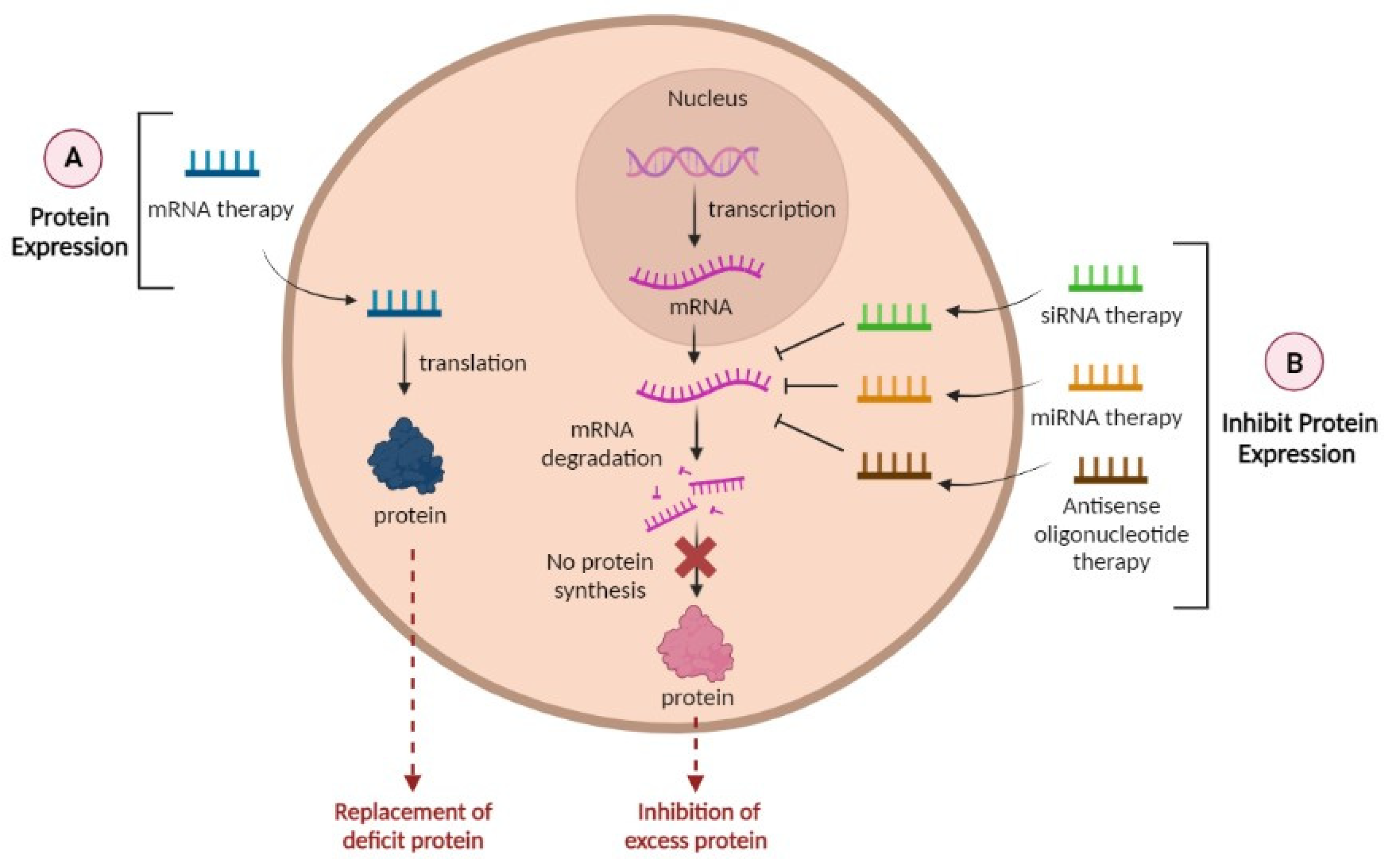 Molecules 28 06015 g004 Molecules 28 06015 g004