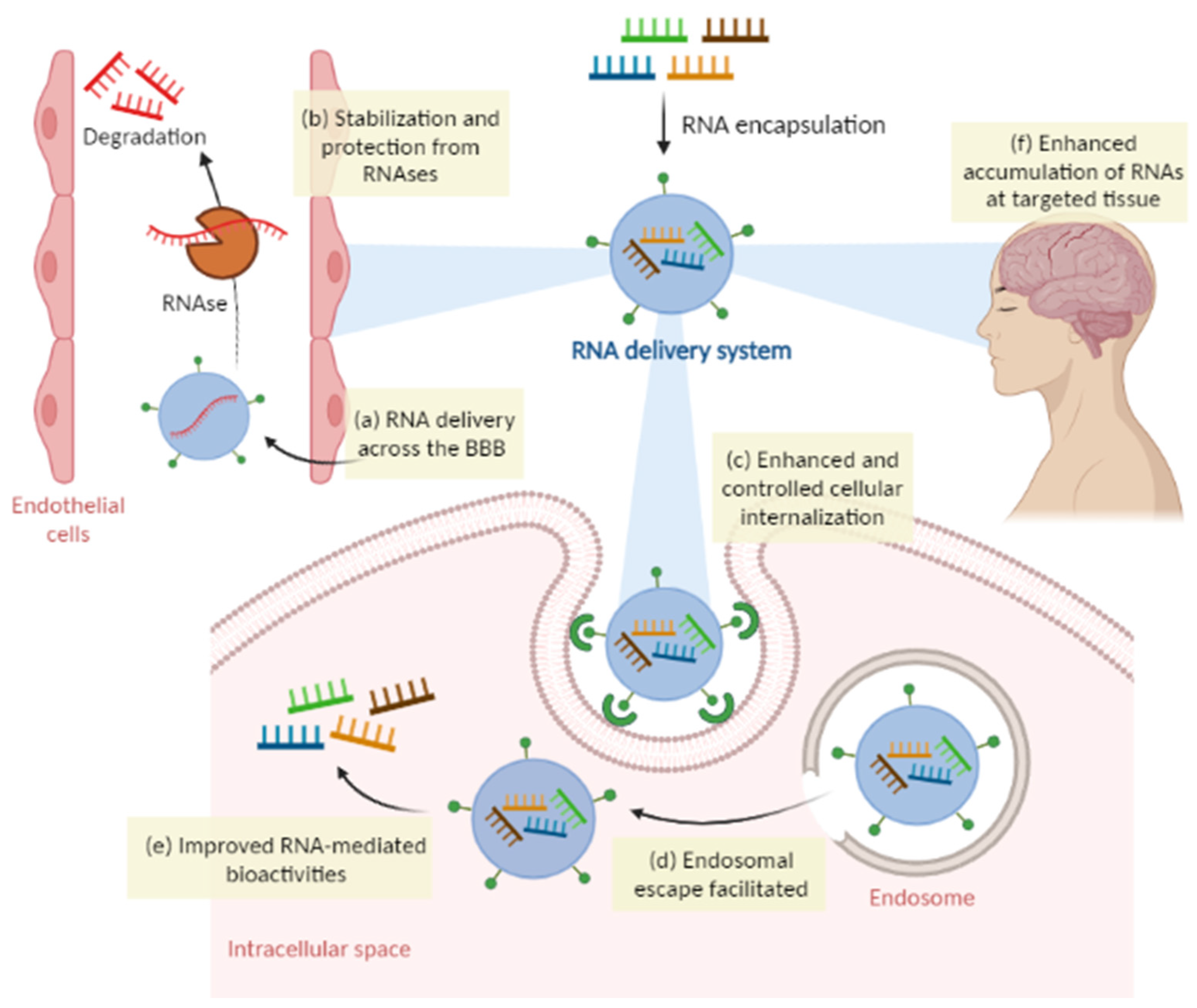 Molecules 28 06015 g005 Molecules 28 06015 g005