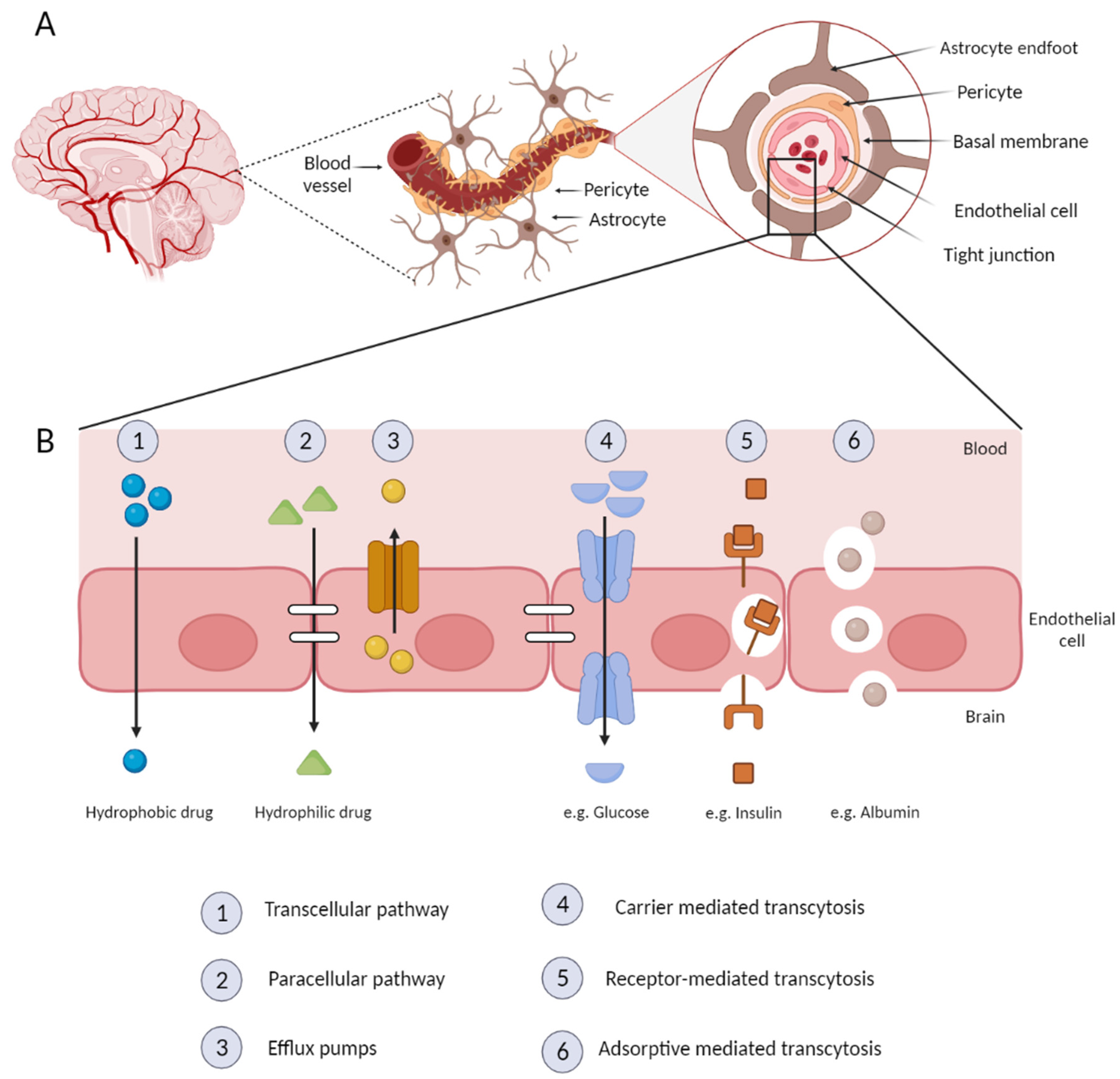 Molecules 28 06015 g006 Molecules 28 06015 g006