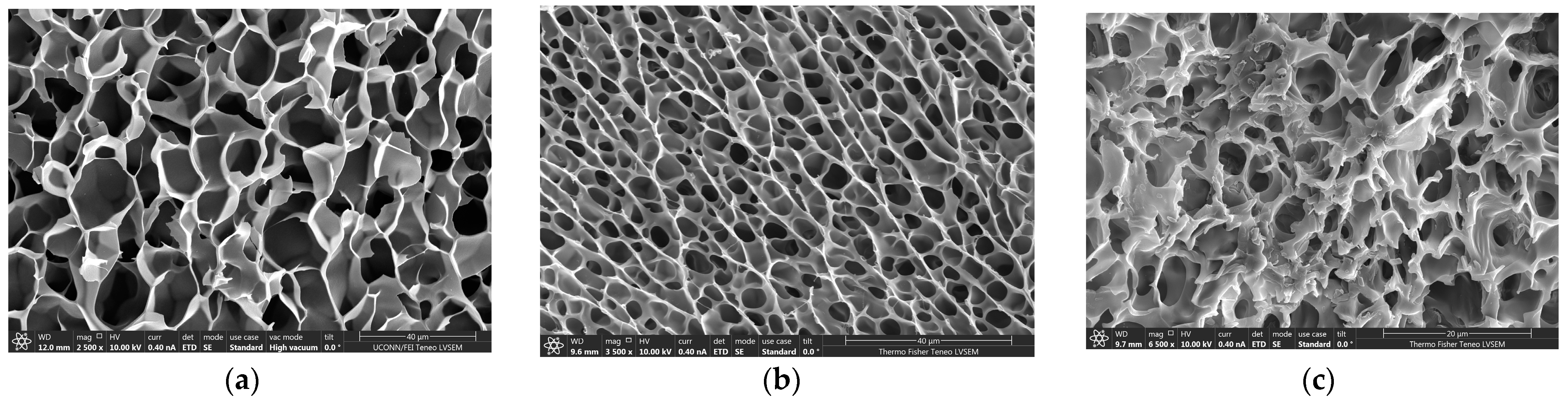 Molecules 28 06028 g001 Molecules 28 06028 g001