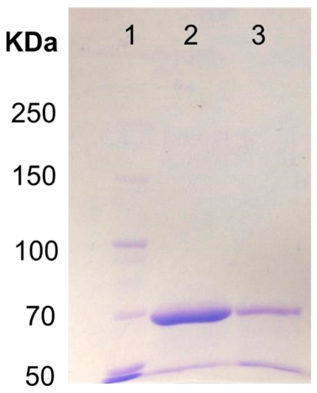 Molecules 28 06028 g003 Molecules 28 06028 g003