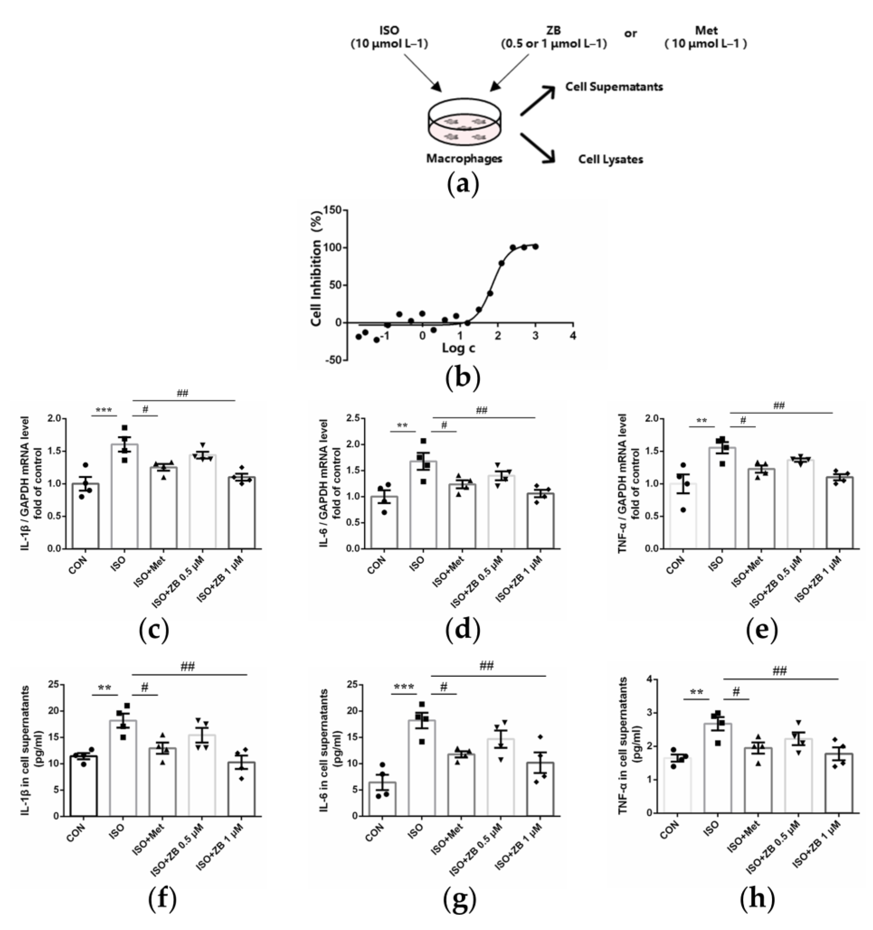 Molecules 28 06035 g005 Molecules 28 06035 g005