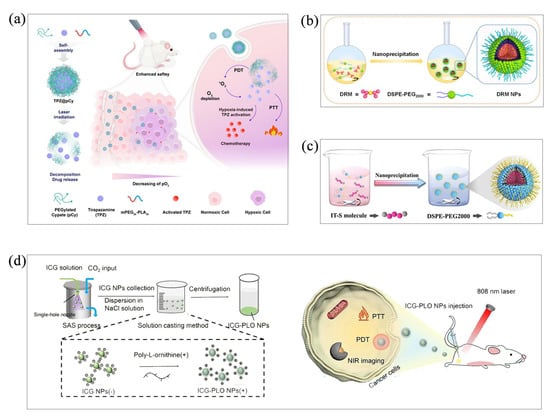 Molecules 28 06038 g003