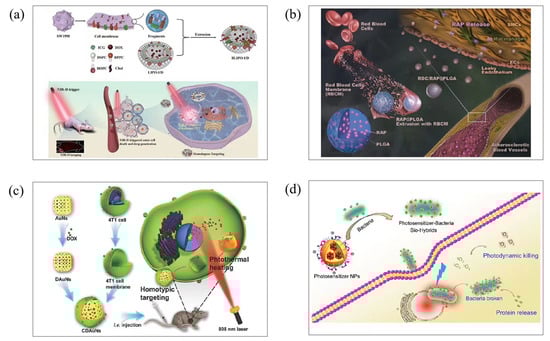 Molecules 28 06038 g007