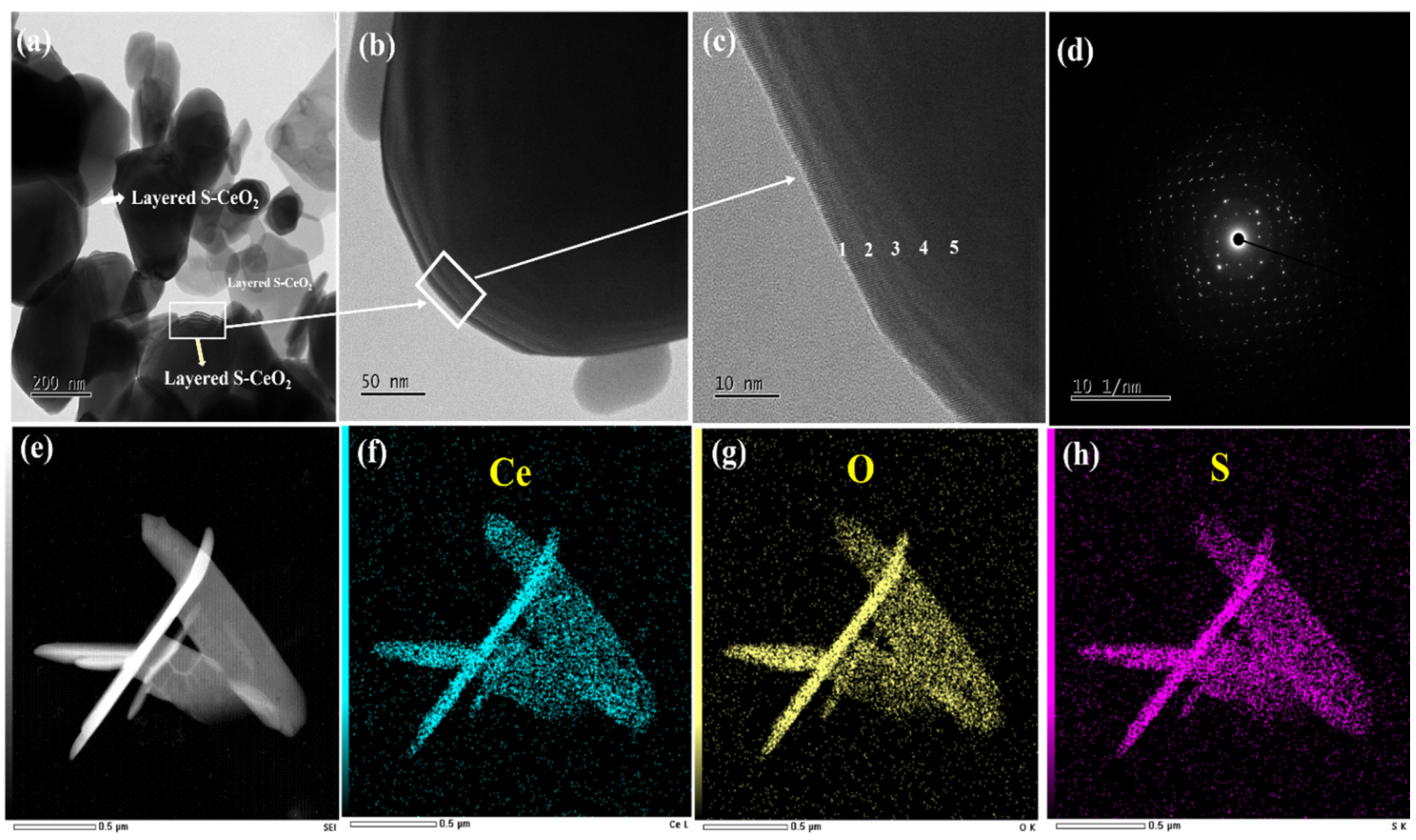 Molecules 28 06045 g004