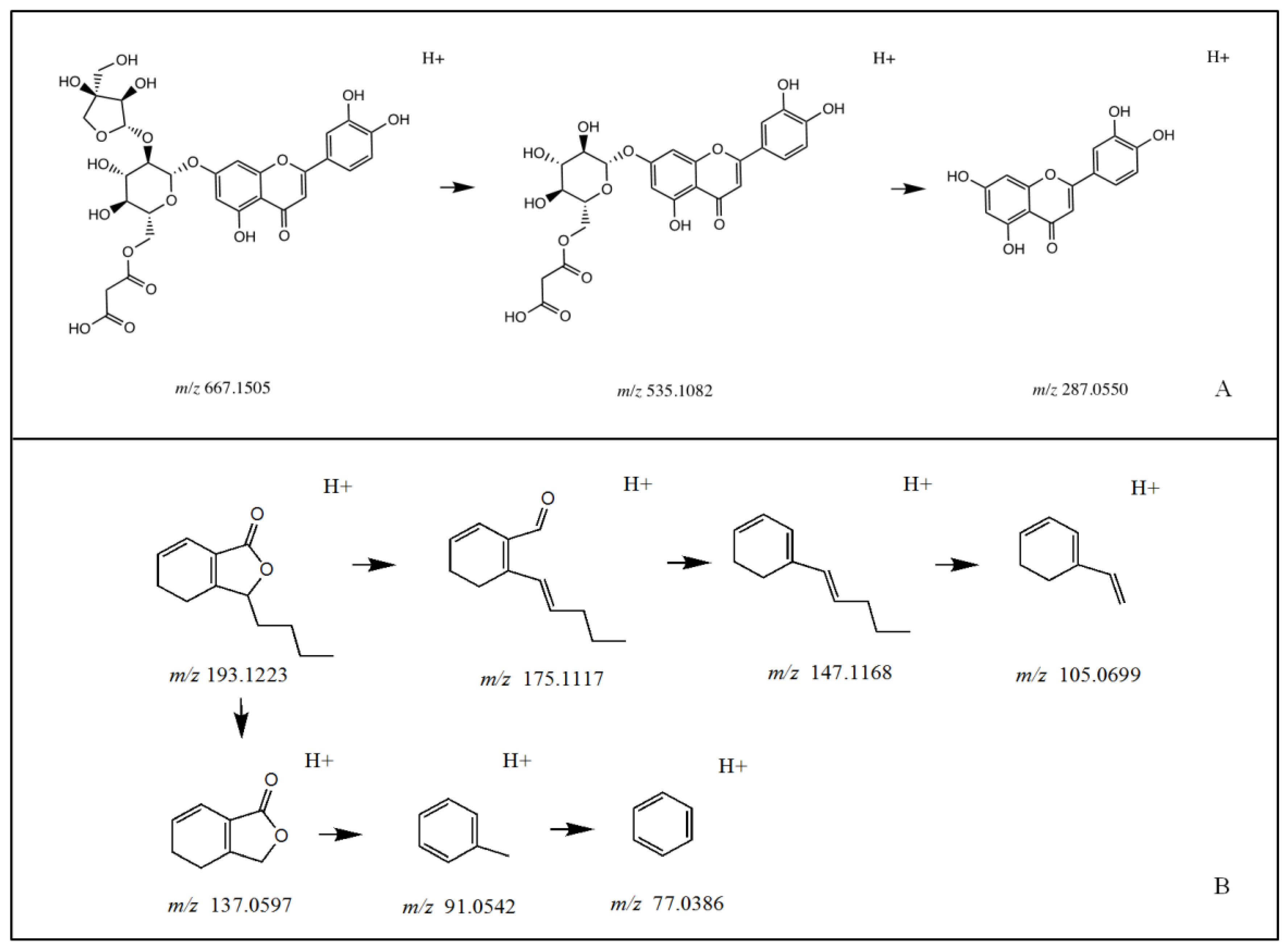 Molecules 28 06048 g002