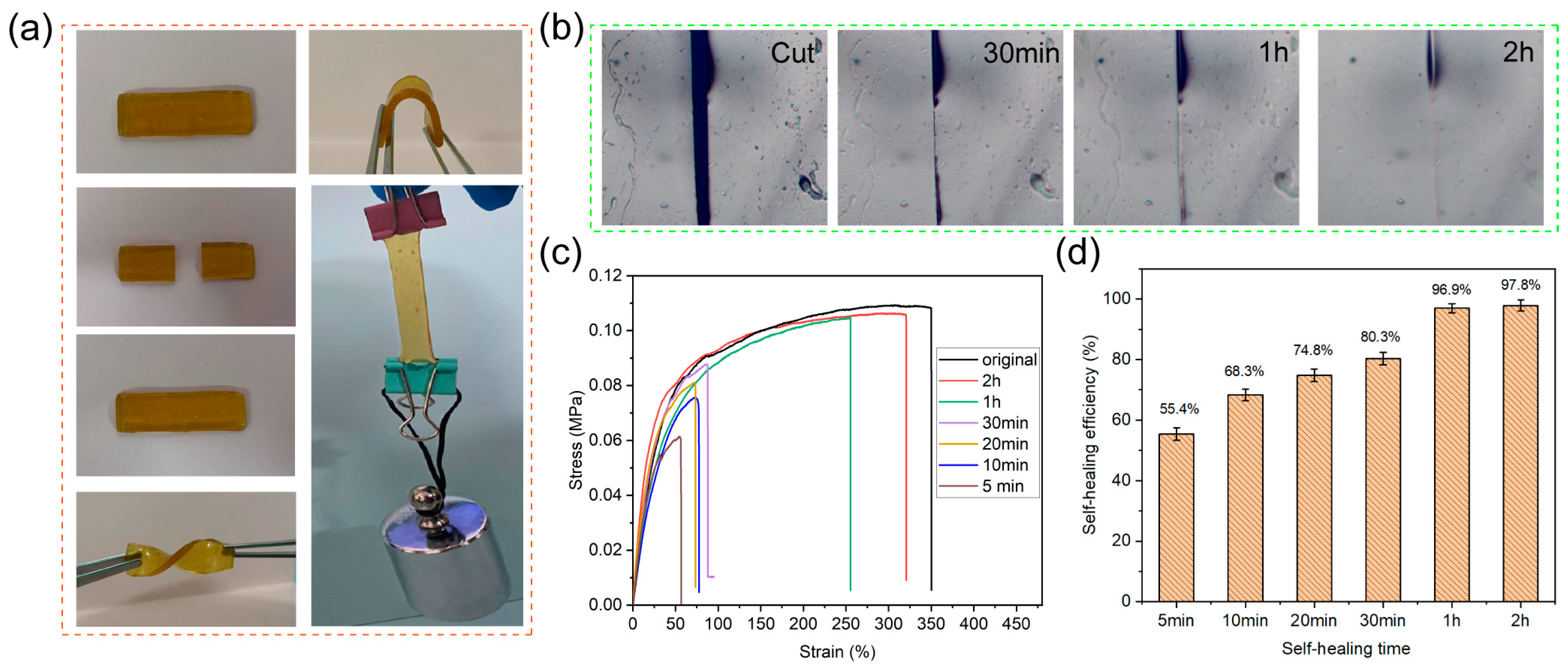Molecules 28 06049 g003