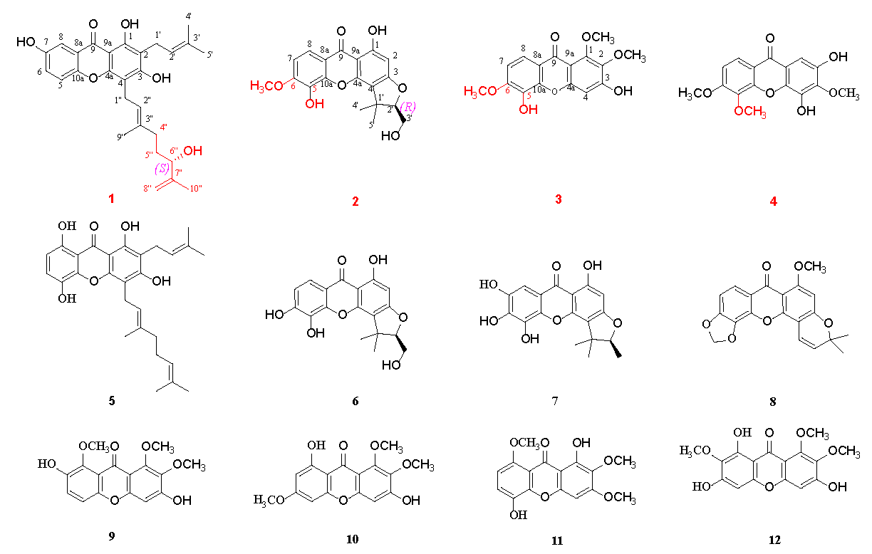 Molecules 28 06050 g001 Molecules 28 06050 g001