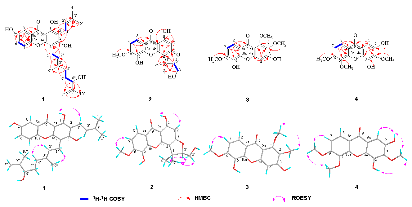 Molecules 28 06050 g002 Molecules 28 06050 g002