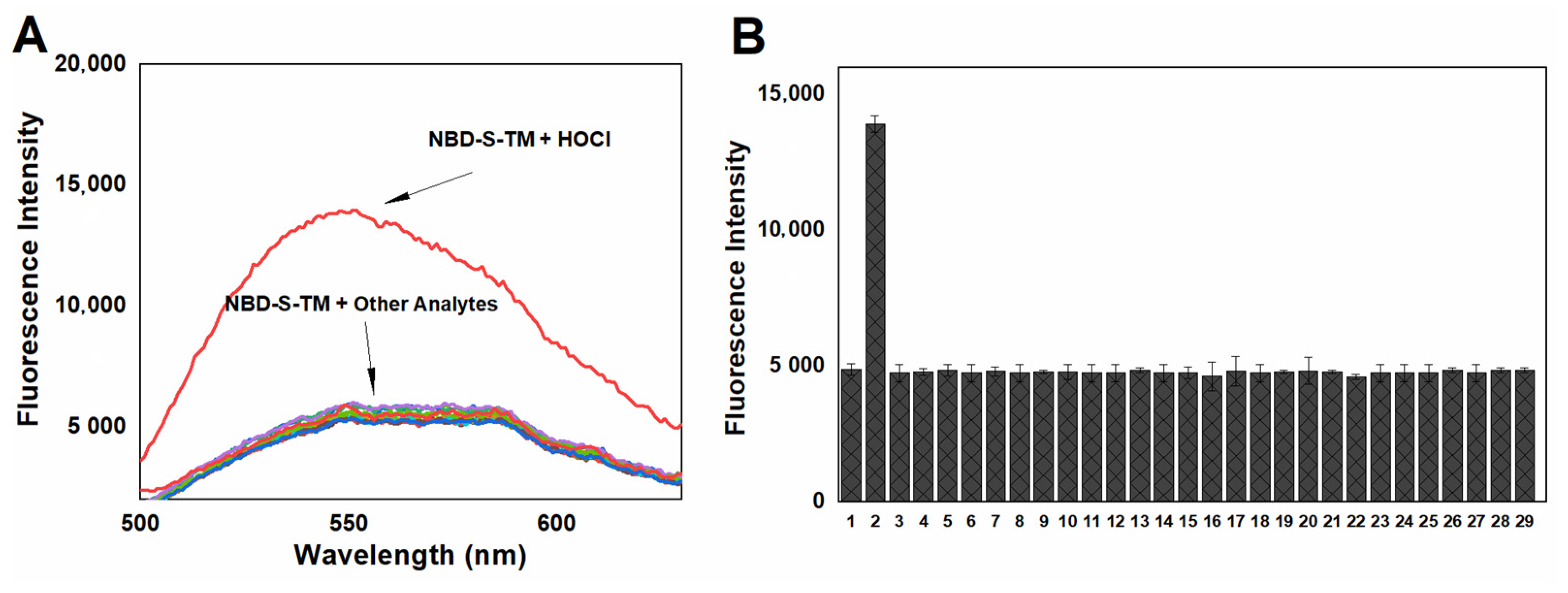 Molecules 28 06055 g010