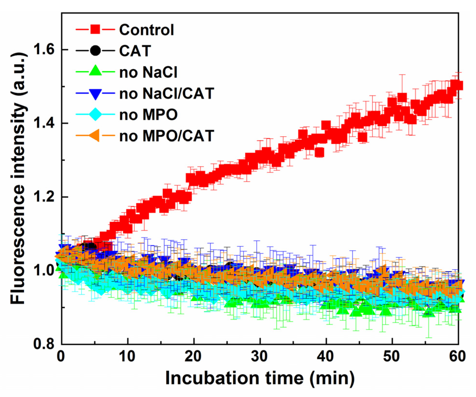 Molecules 28 06055 g012