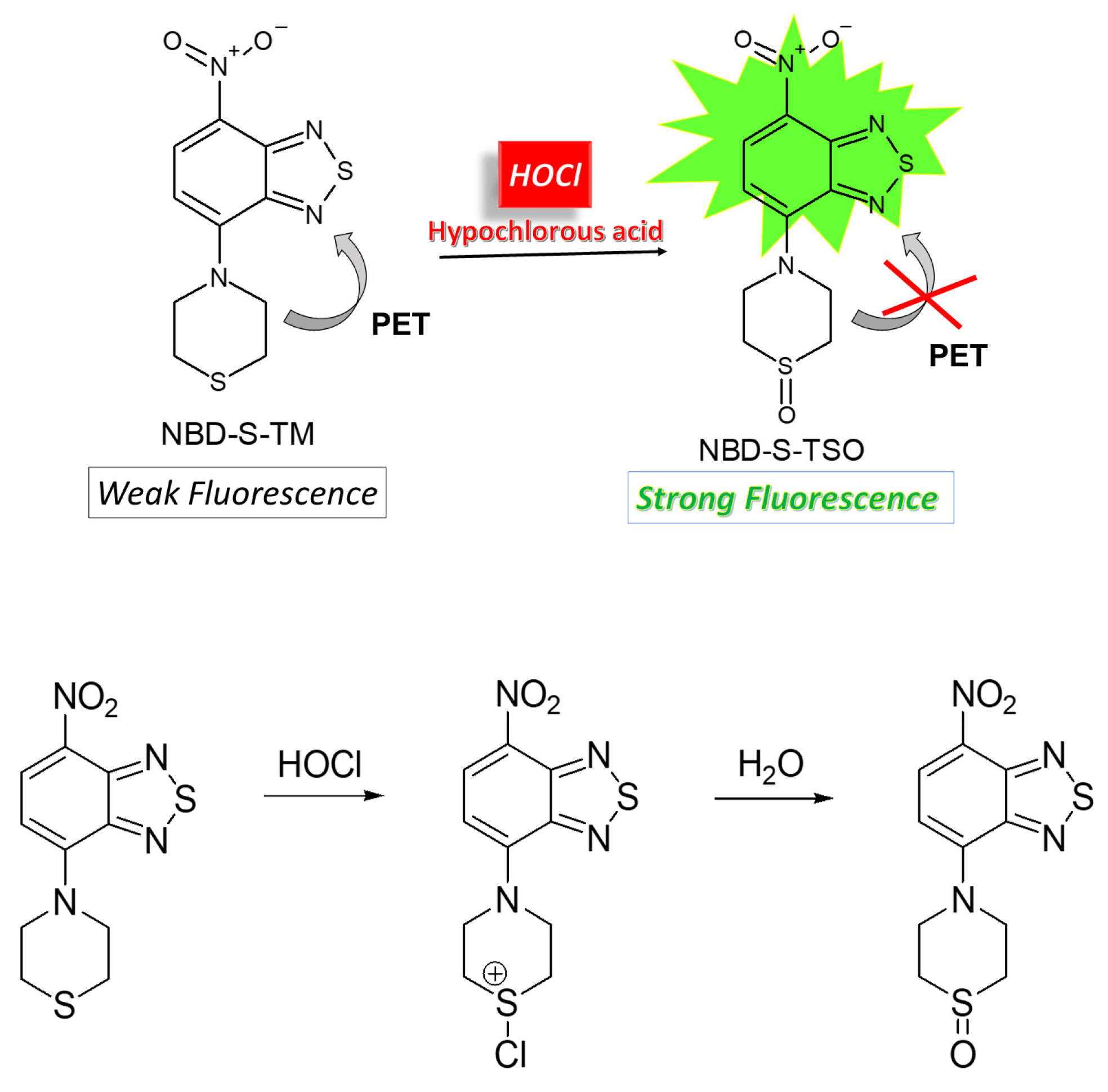Molecules 28 06055 sch002