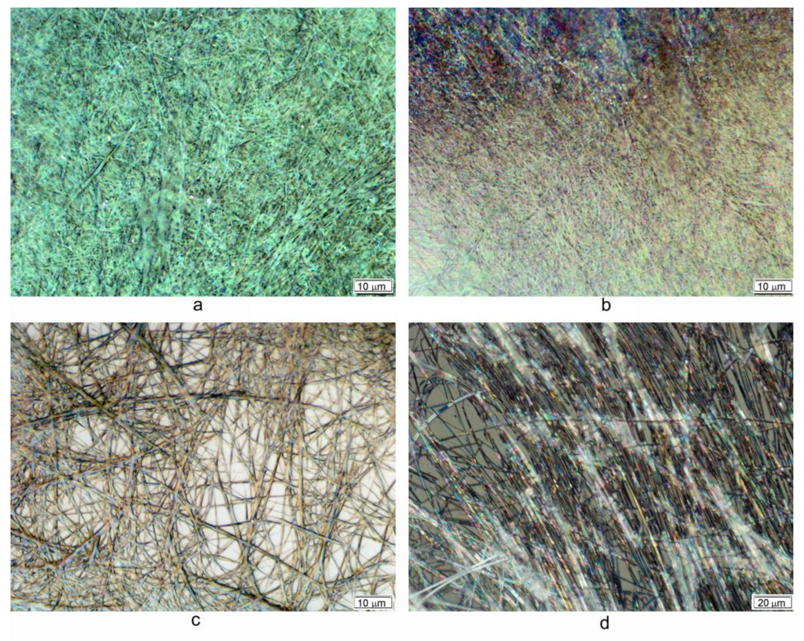 Molecules 28 06056 g005 Molecules 28 06056 g005
