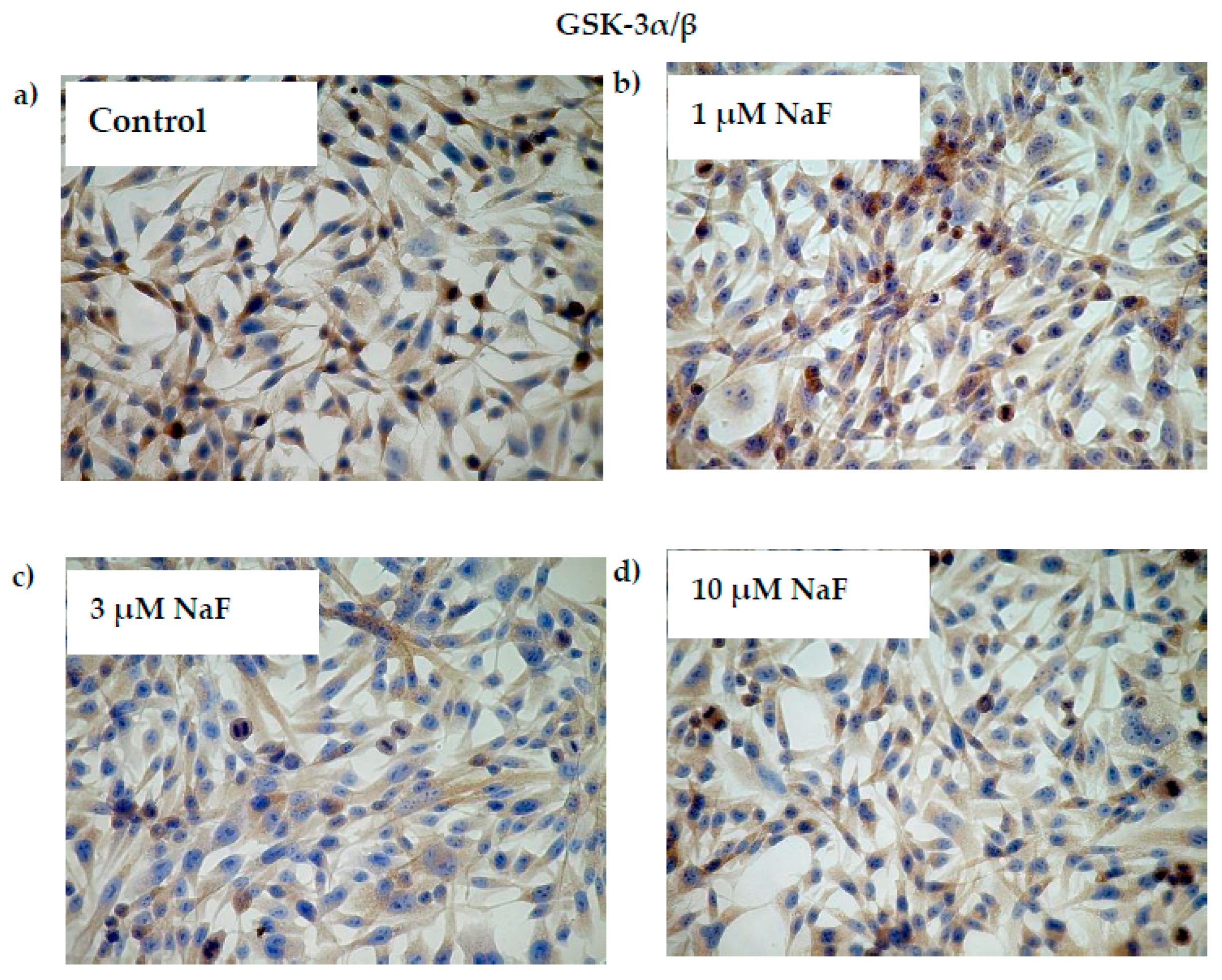 Molecules 28 06065 g005a
