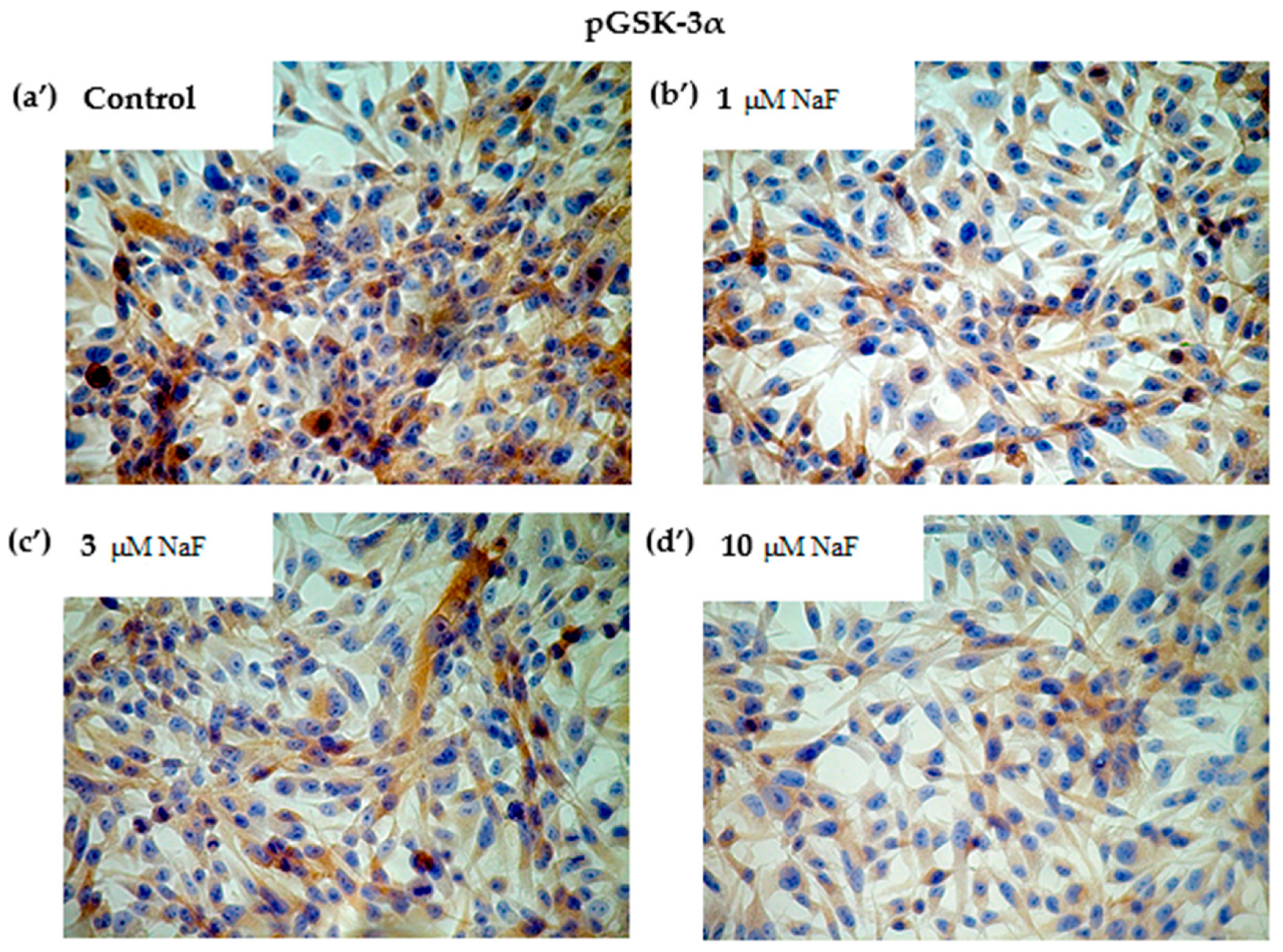Molecules 28 06065 g005b