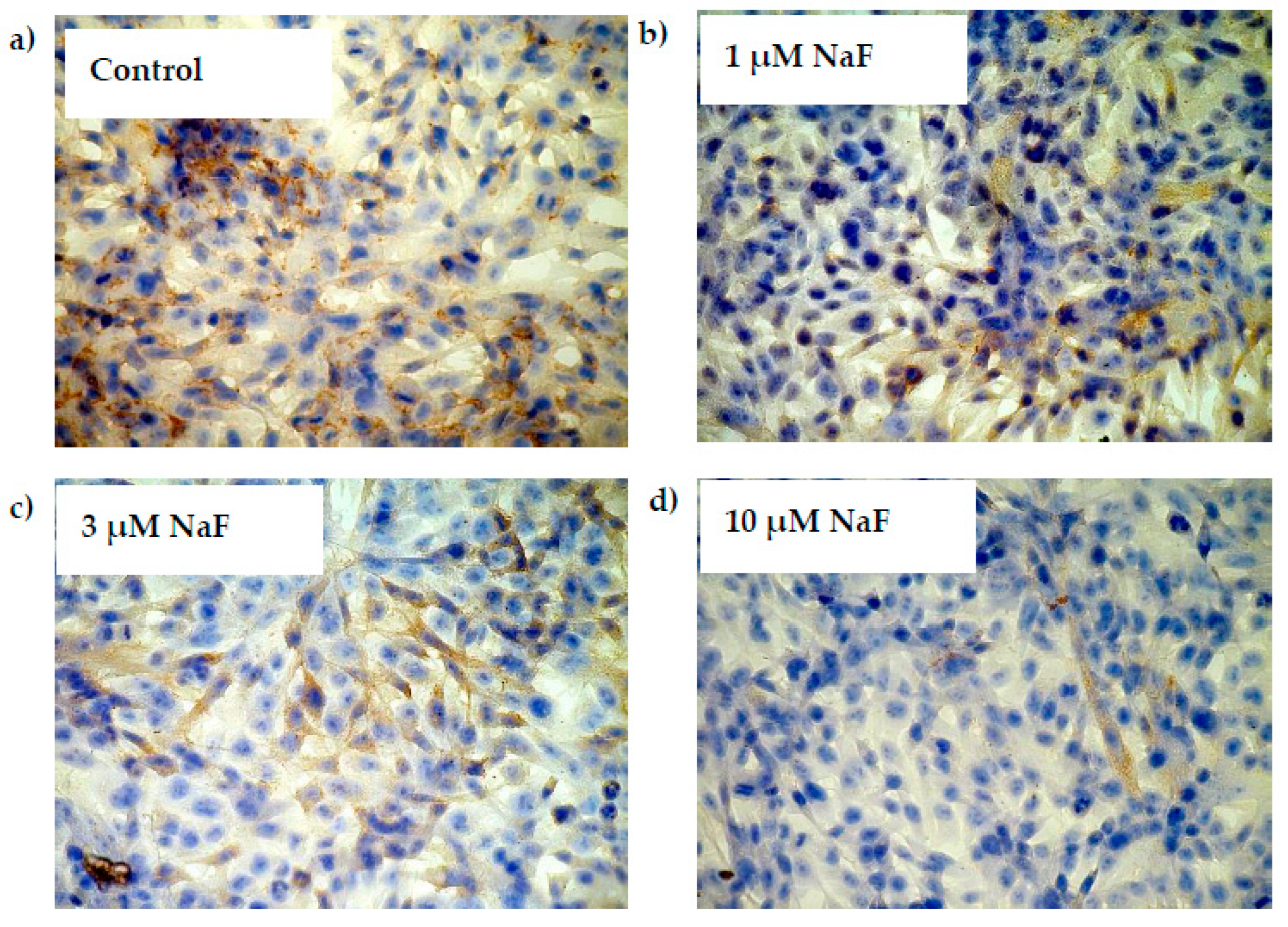 Molecules 28 06065 g007
