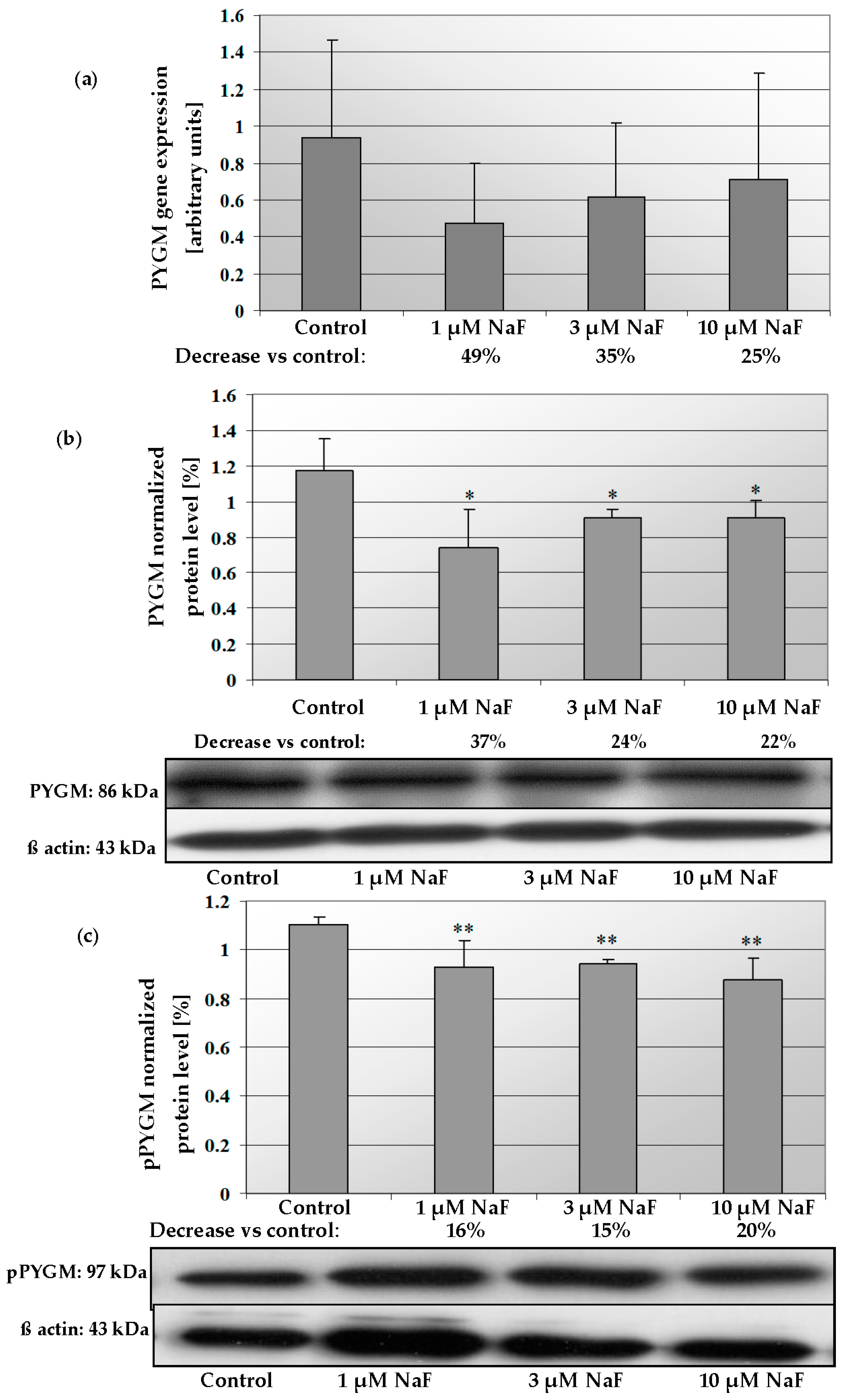Molecules 28 06065 g008