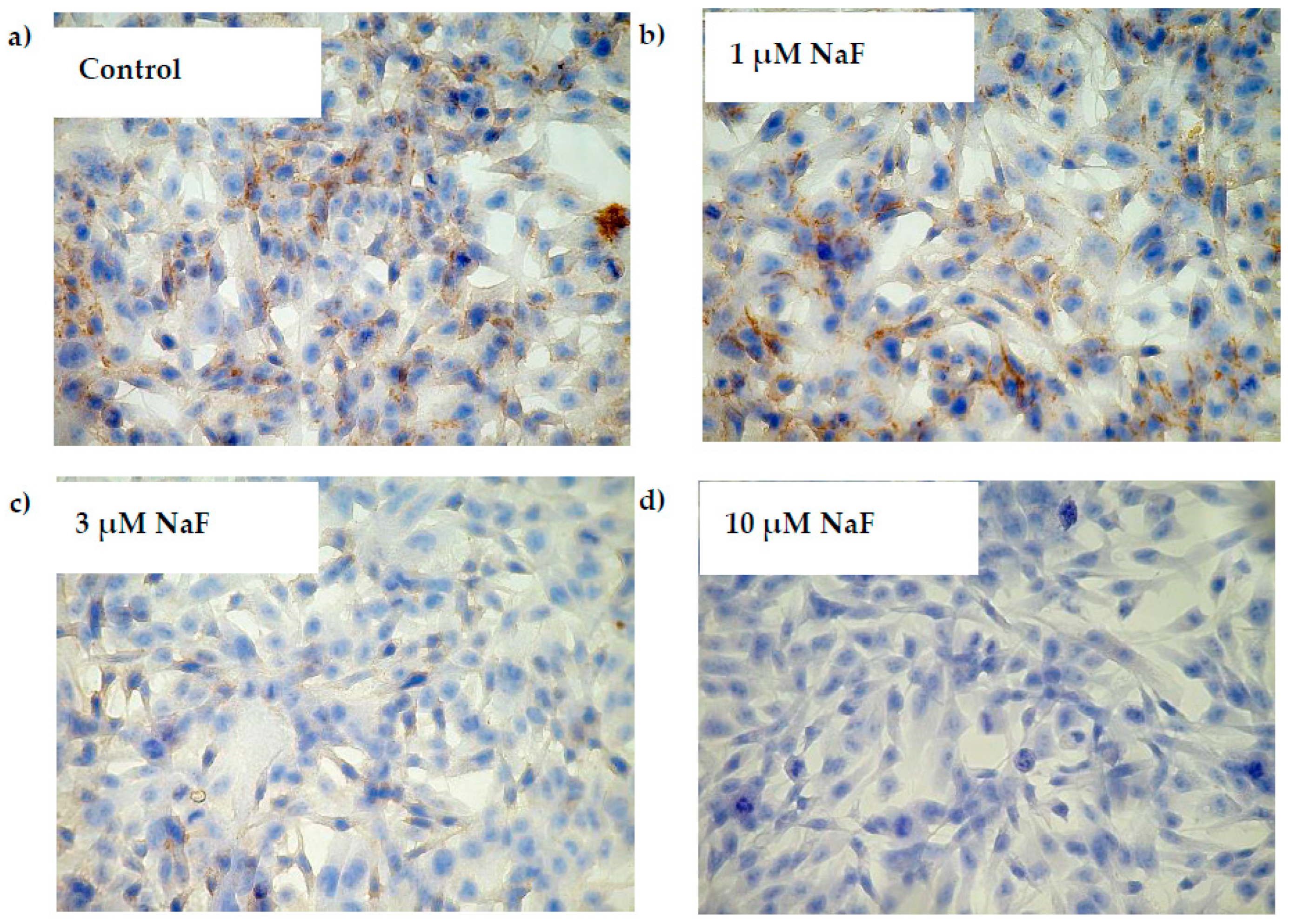 Molecules 28 06065 g009