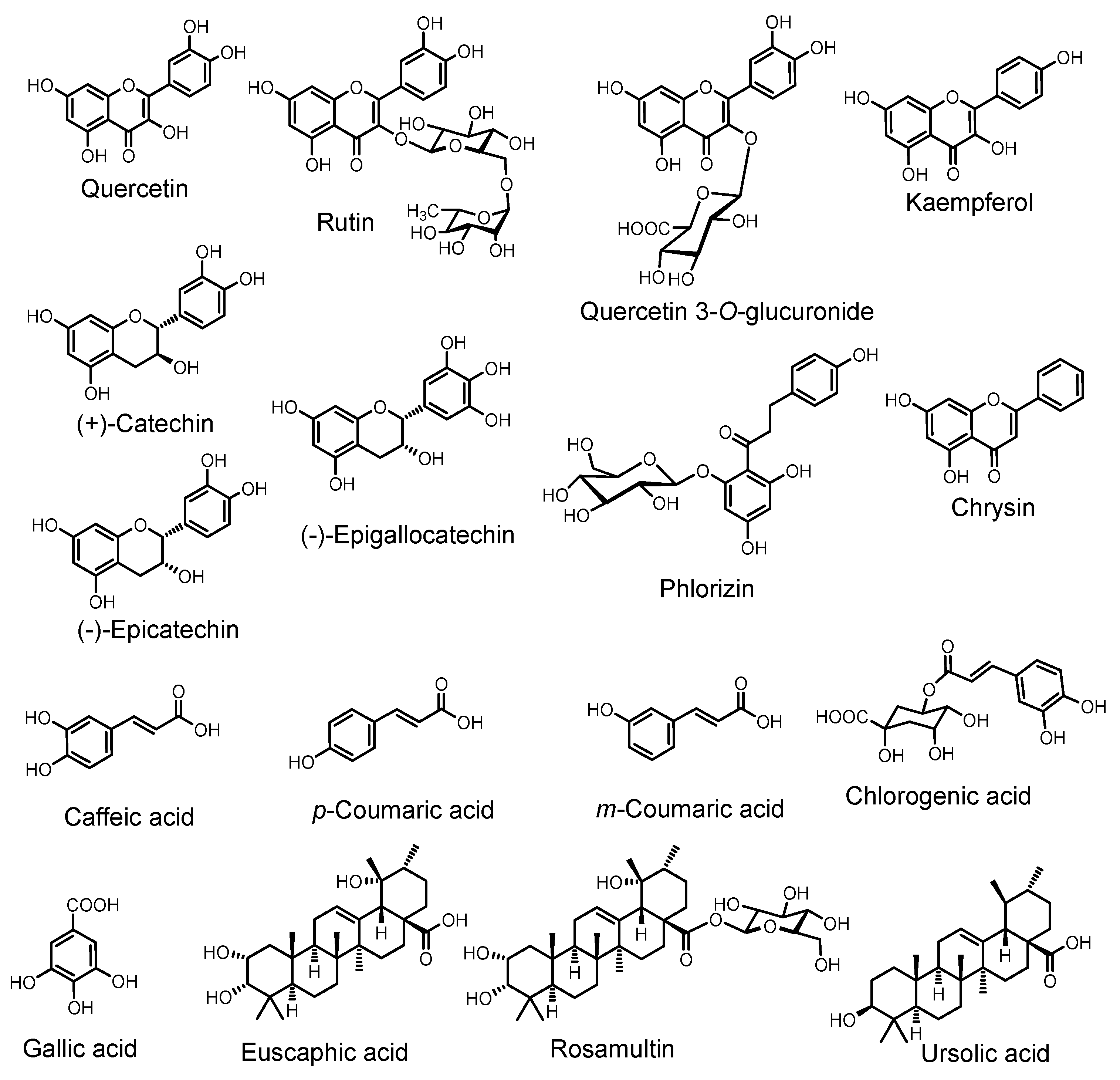 Molecules 28 06071 g002
