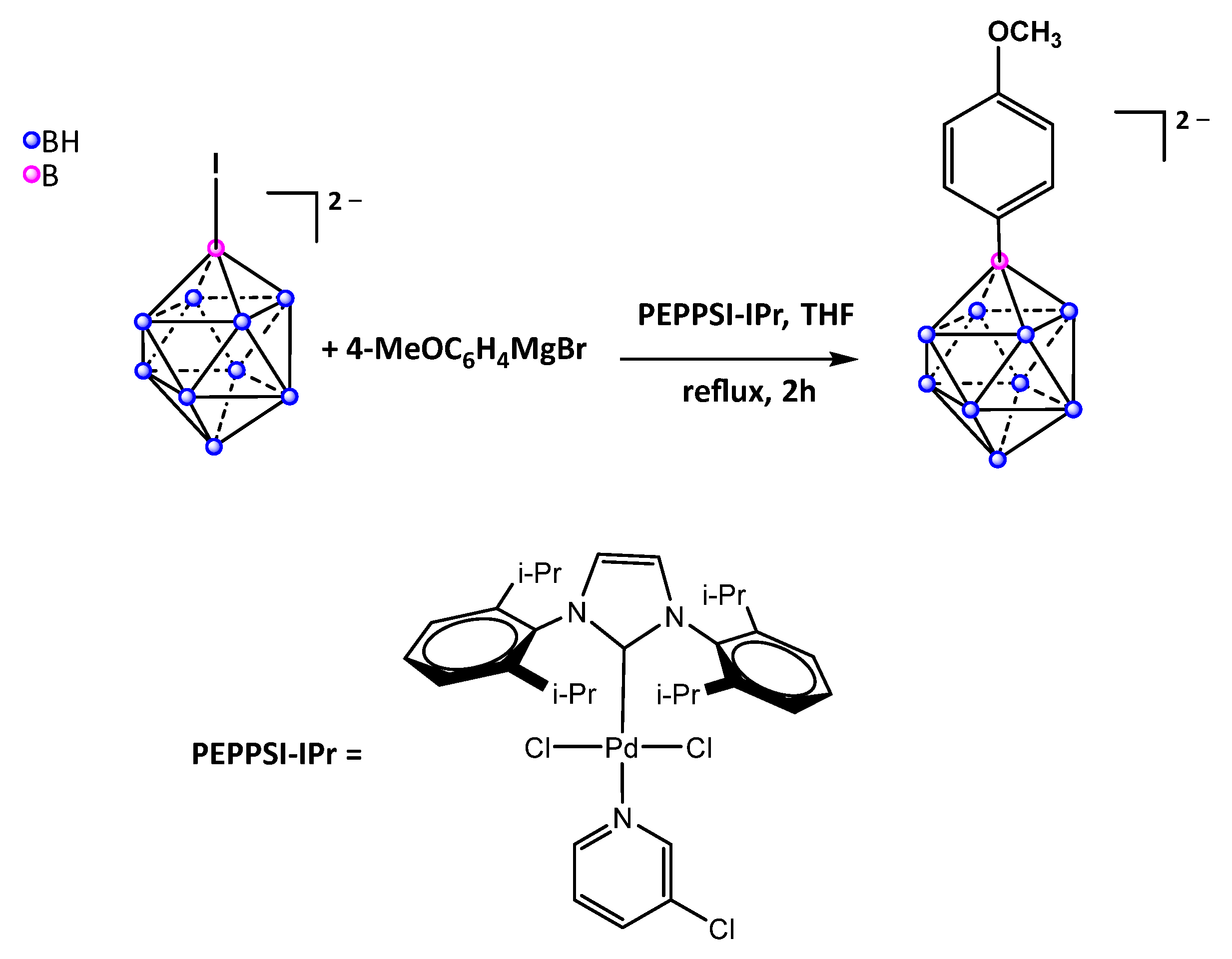 Molecules 28 06076 g002