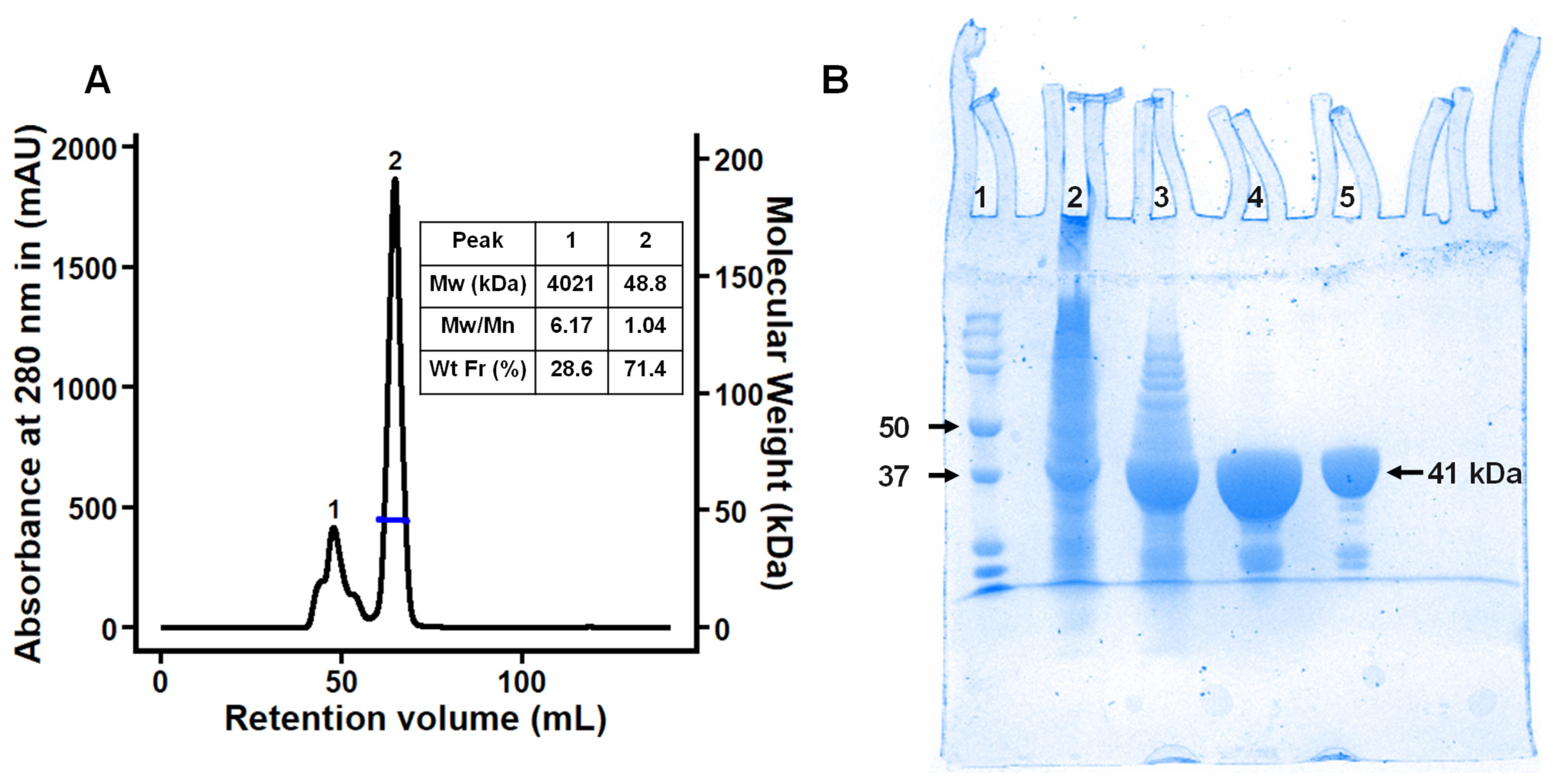 Molecules 28 06080 g001