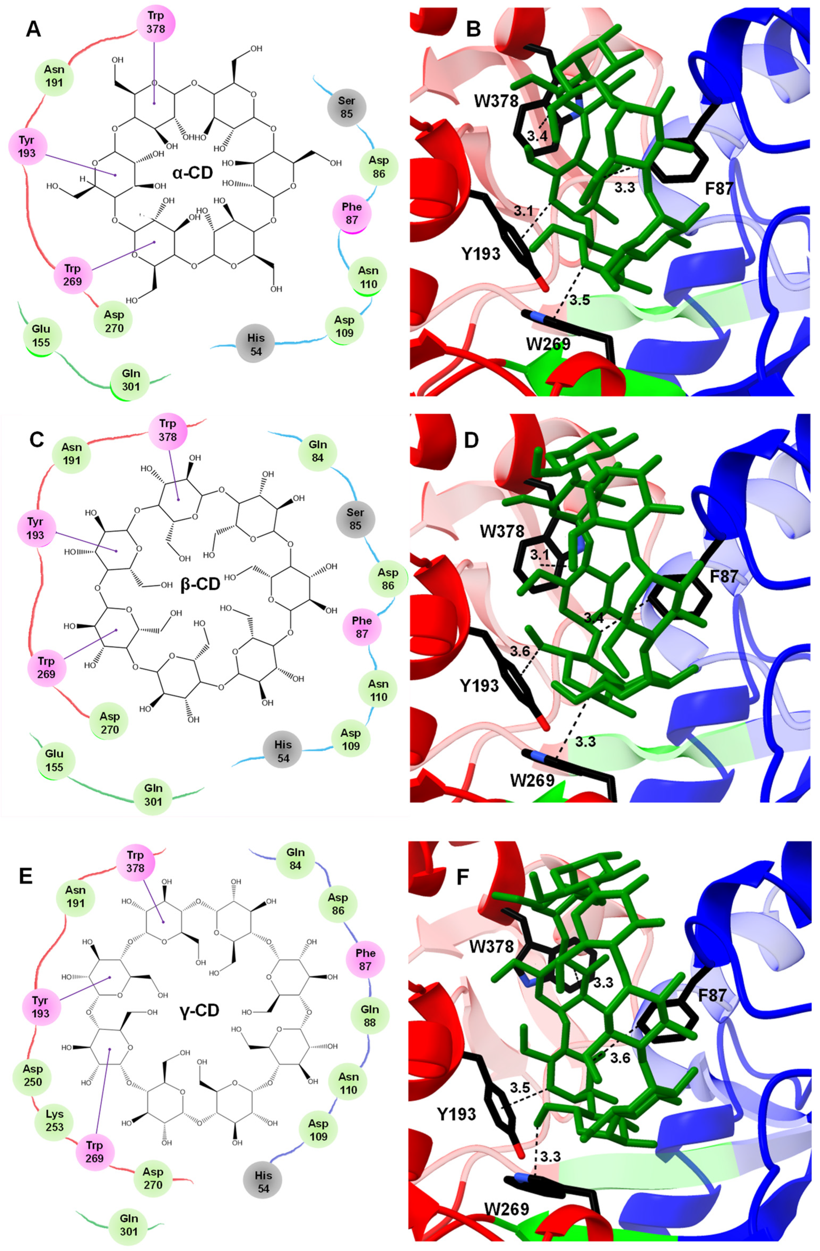 Molecules 28 06080 g005