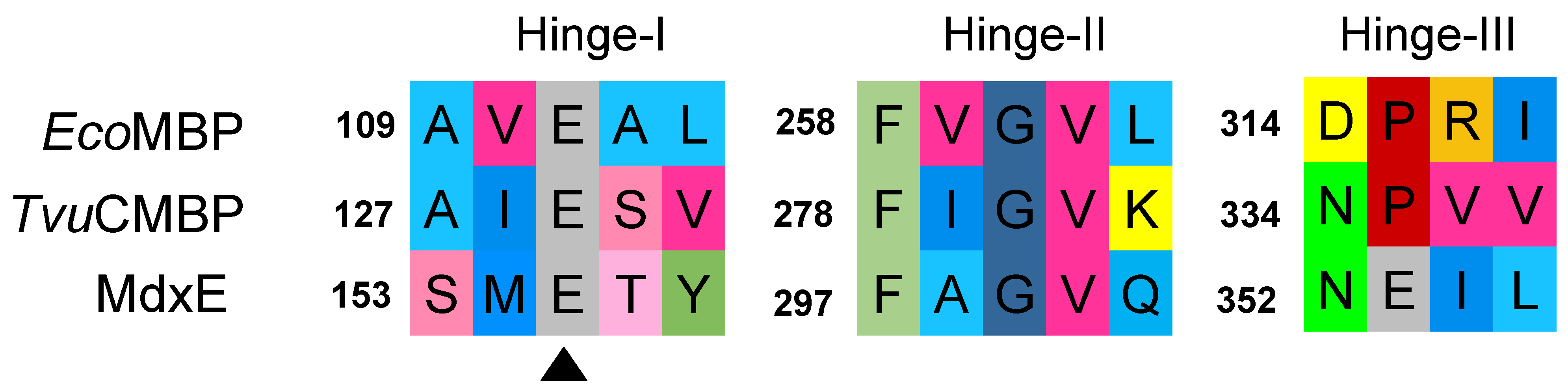 Molecules 28 06080 g006