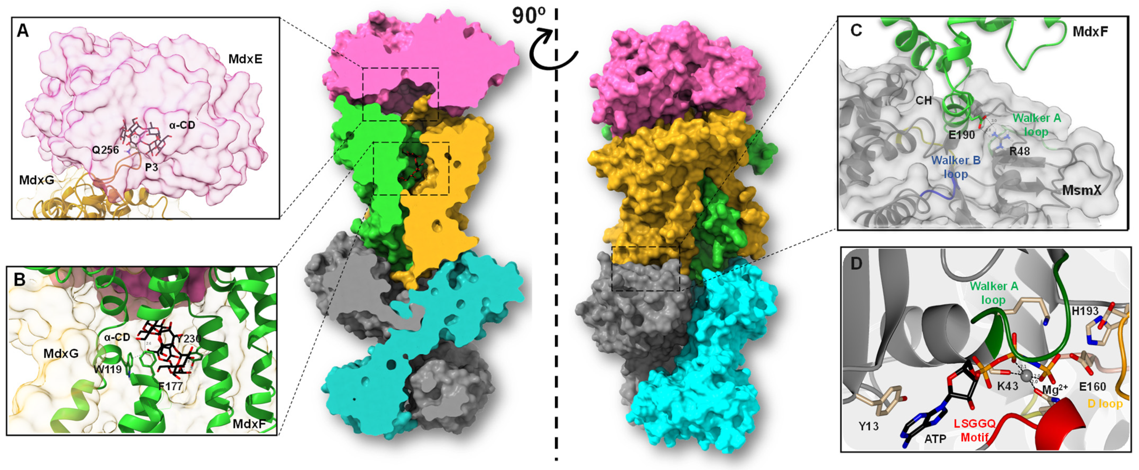 Molecules 28 06080 g007
