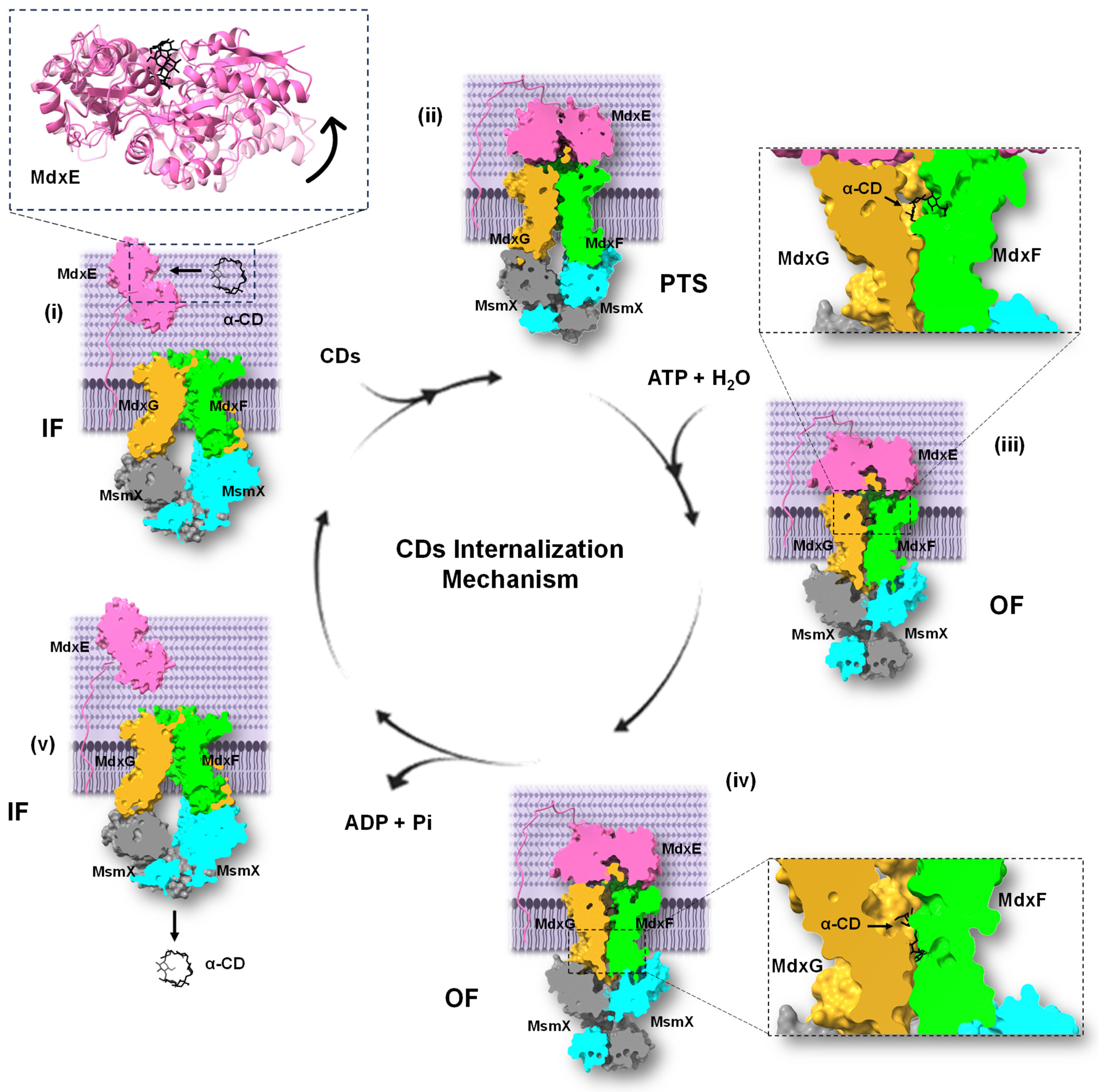 Molecules 28 06080 g008
